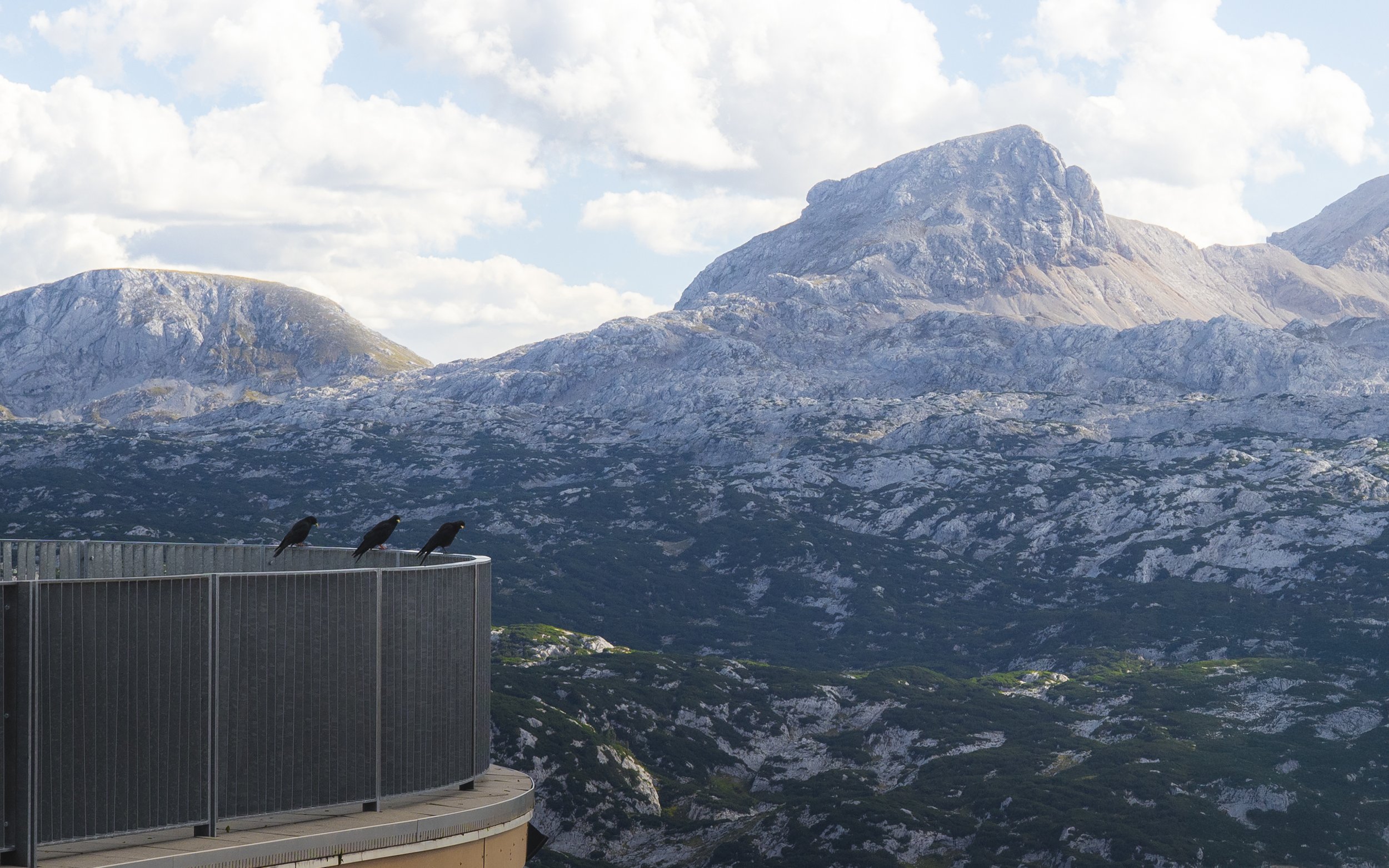 Five Fingers Hike 2025.jpg