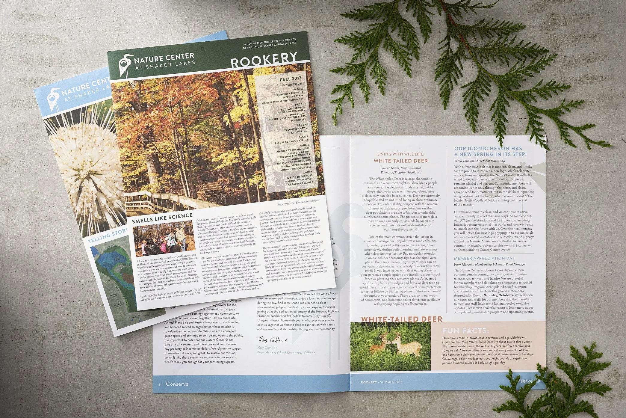 studioChartreuse_2023Website_NCSL12 (1).jpg