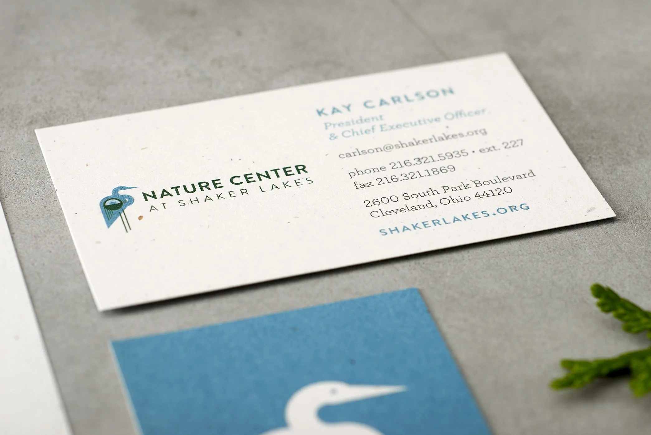 studioChartreuse_2023Website_NCSL3.jpg
