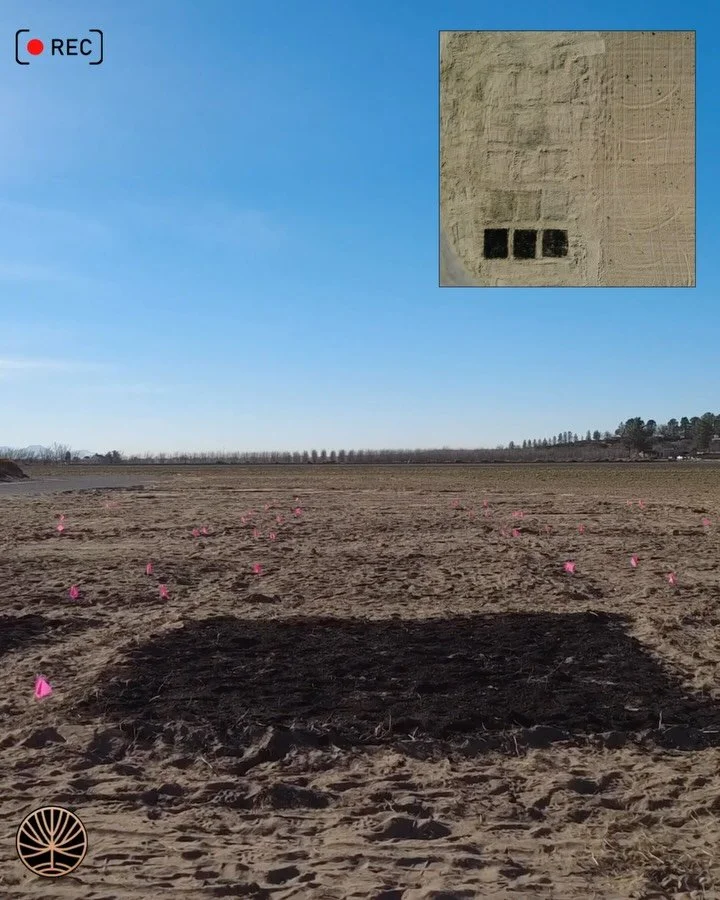 Our Aurum team has been executing real-world biochar R&amp;D with Texas &amp; New Mexico collaborators, integrating it into active crop systems to study soil health and performance under field conditions. 🌾

We would like to thank our partners at @w