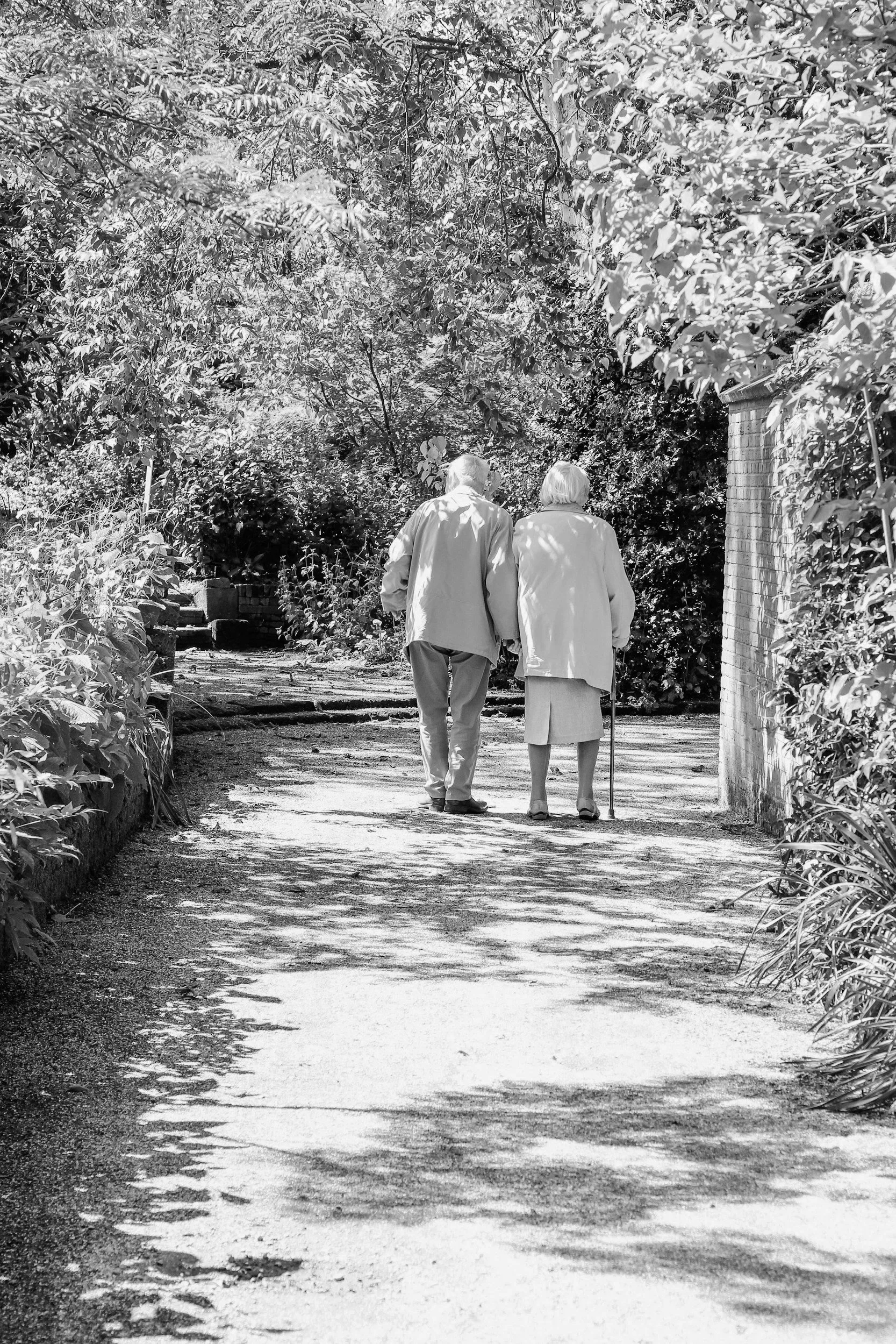 An elderly couple walking on a shaded garden path, surrounded by trees and plants, with one using a cane.