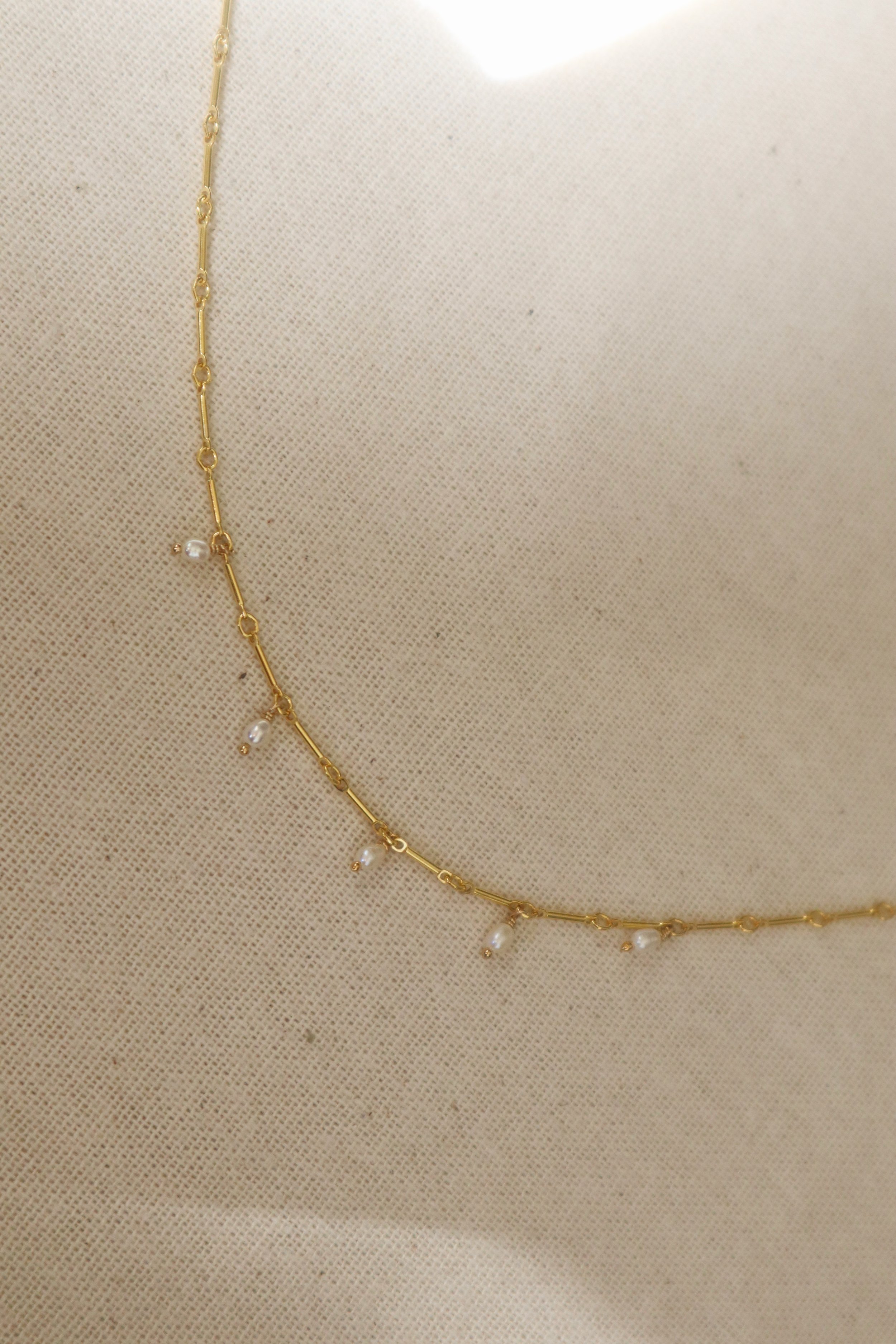 Tezza-6595.JPG
