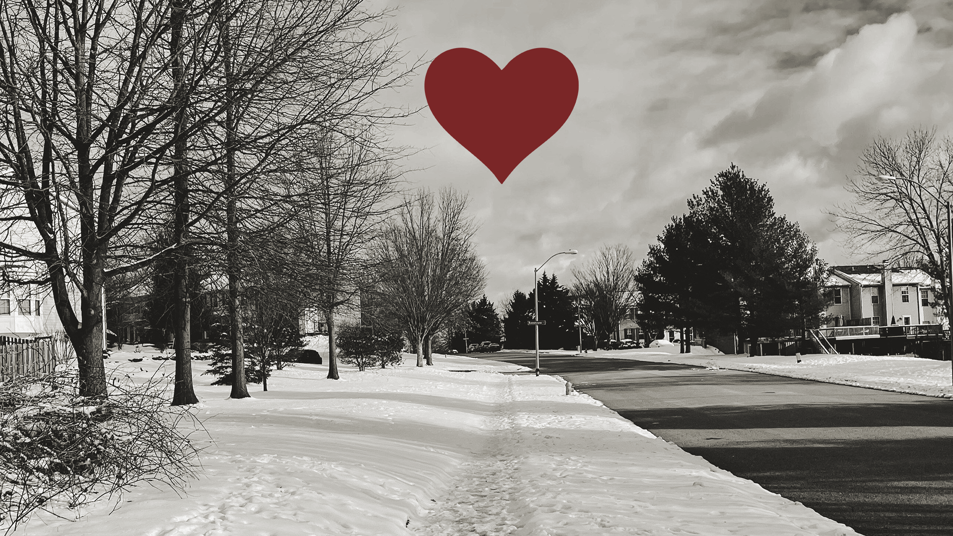 Winter Care, Warm Hearts: How PICN Supports Durham Families Through the Holidays