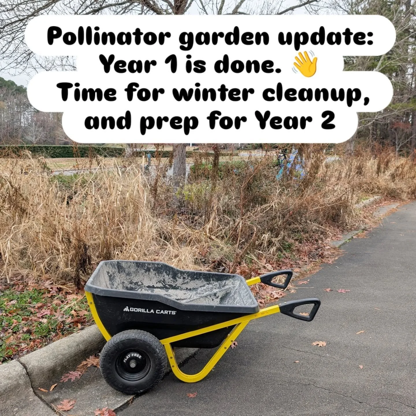 Wrapped up winter prep for the @cricketforge pollinator garden that we started back in April!

Year 1 was all about letting it be wild, and seeing where I would need to edit, which is what we just did. 

There are a ton of new milkweed plants with he