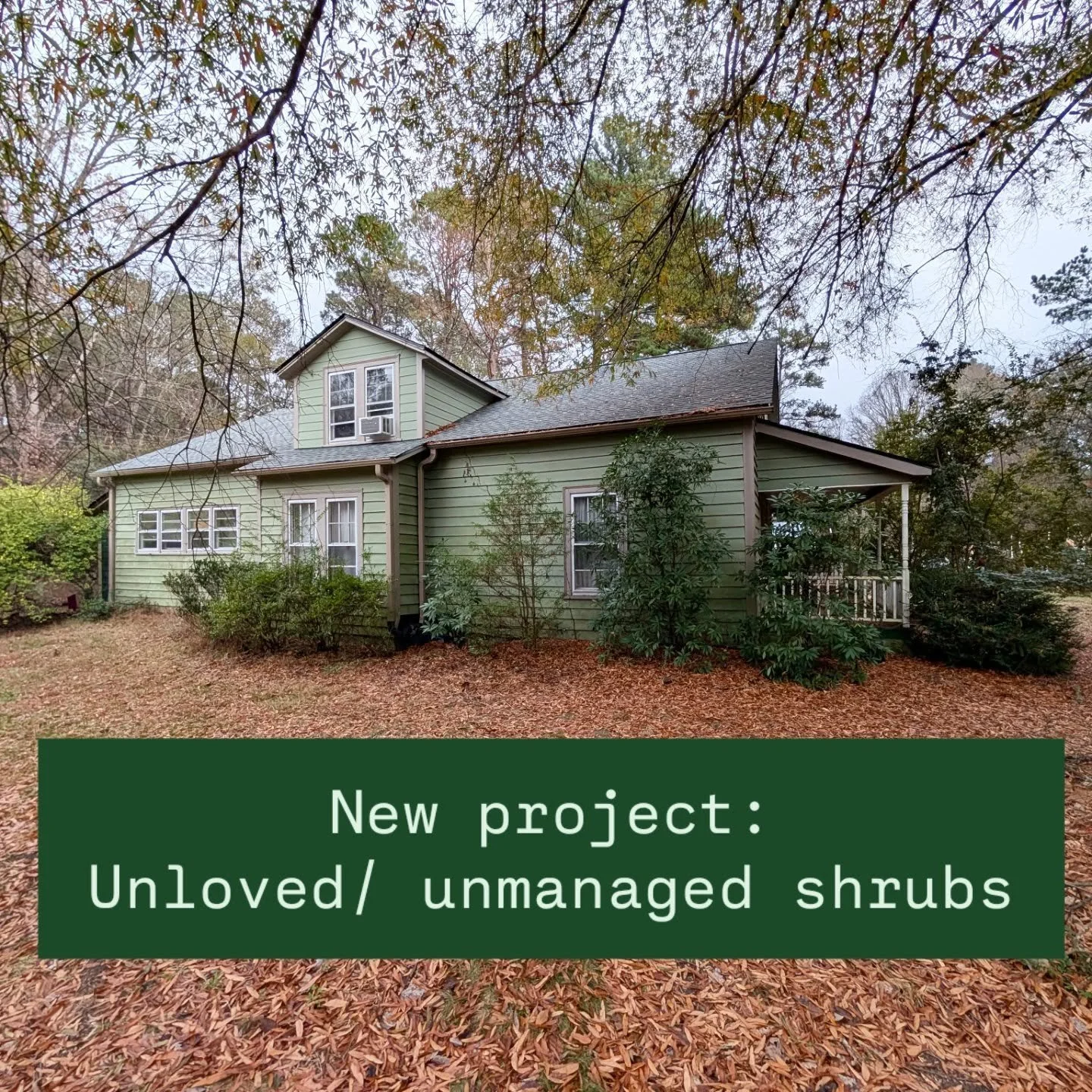 When one of your closest friends asks for help, you say yes, even if it looks like a huge undertaking 🌳🌲

The project: These bushes were left completely unmanaged for *years* and were contributing to serious damage to the home's siding, both becaus