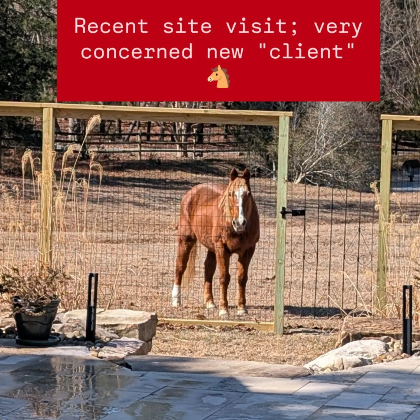 Finally got a chance to visit this amazing newly enclosed space at a new client's property last week, after all the snow storms delayed our plans.

Having a big fresh new canvas is exciting, and sometimes daunting, but never more so than when there i