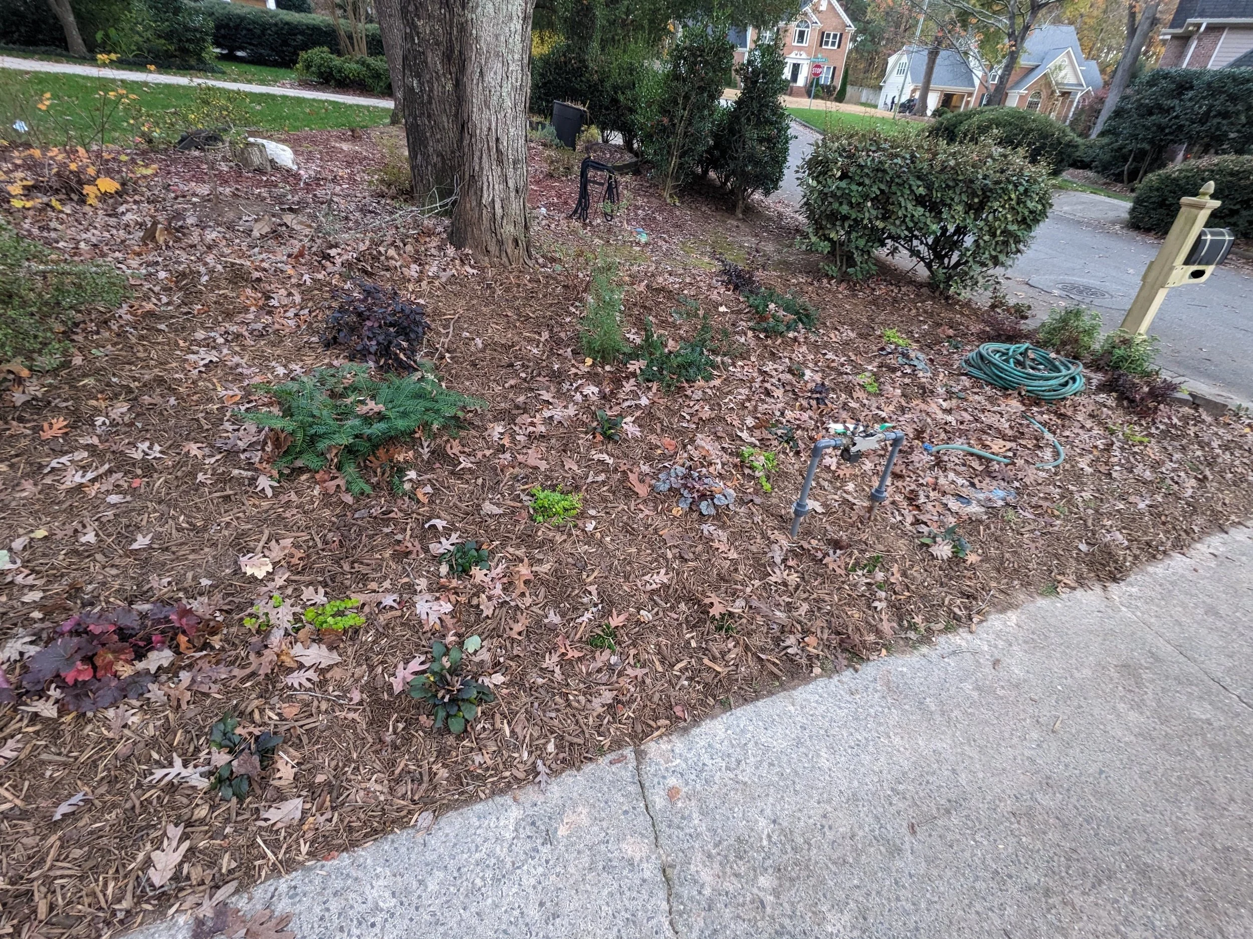 Zone 3 AFTER: driveway detail