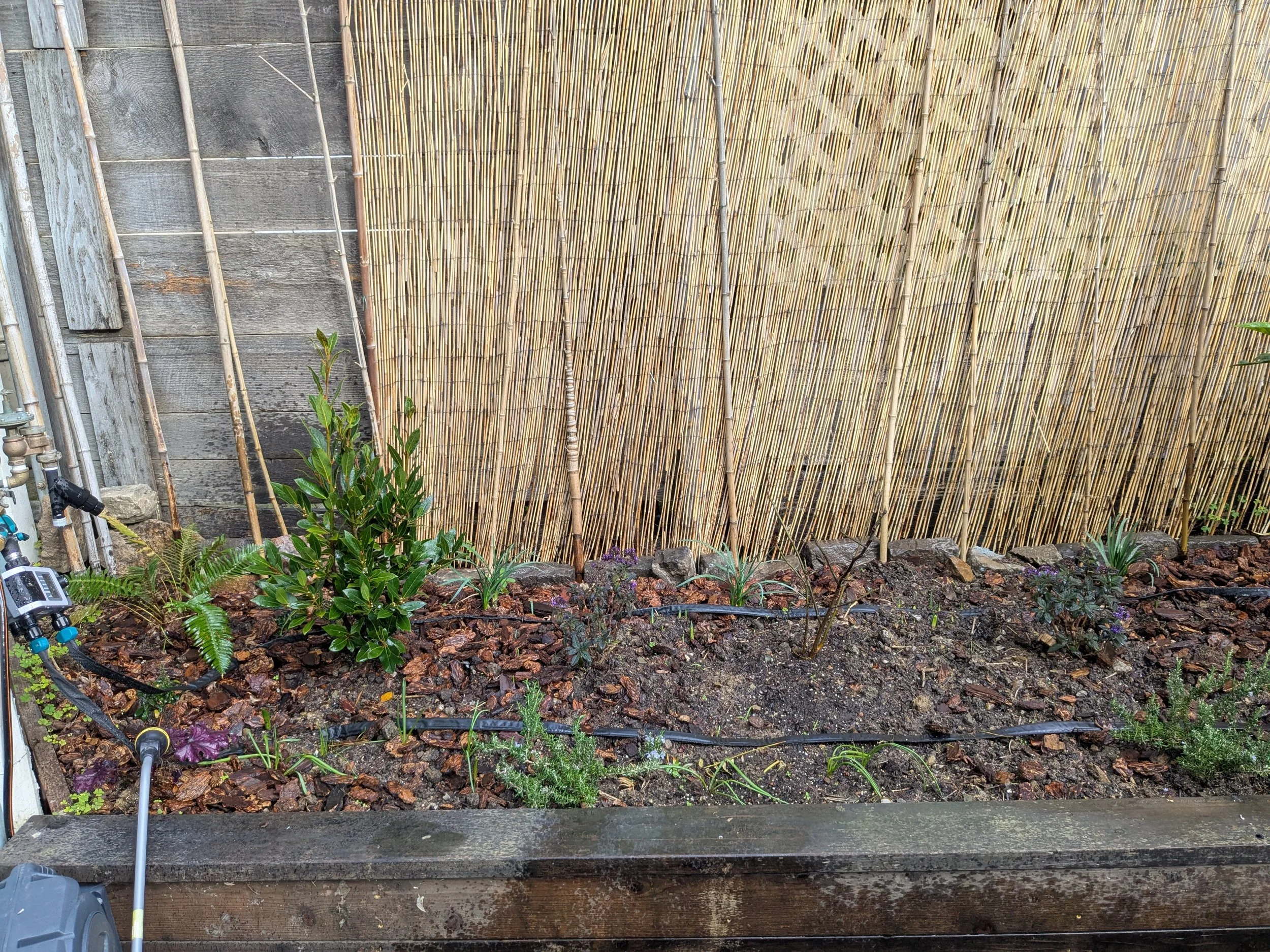 Side 1, freshly planted