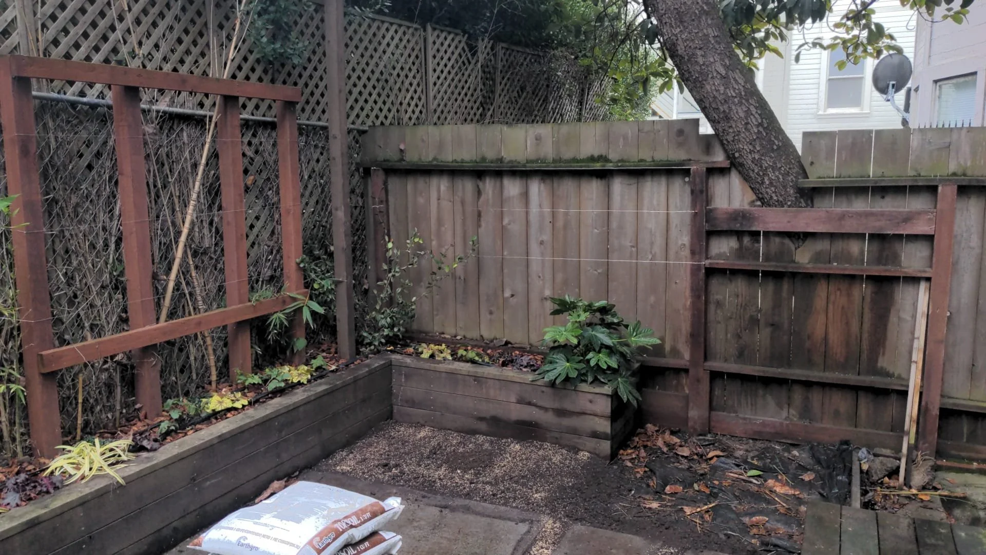 Side 2 + 3, Freshly planted