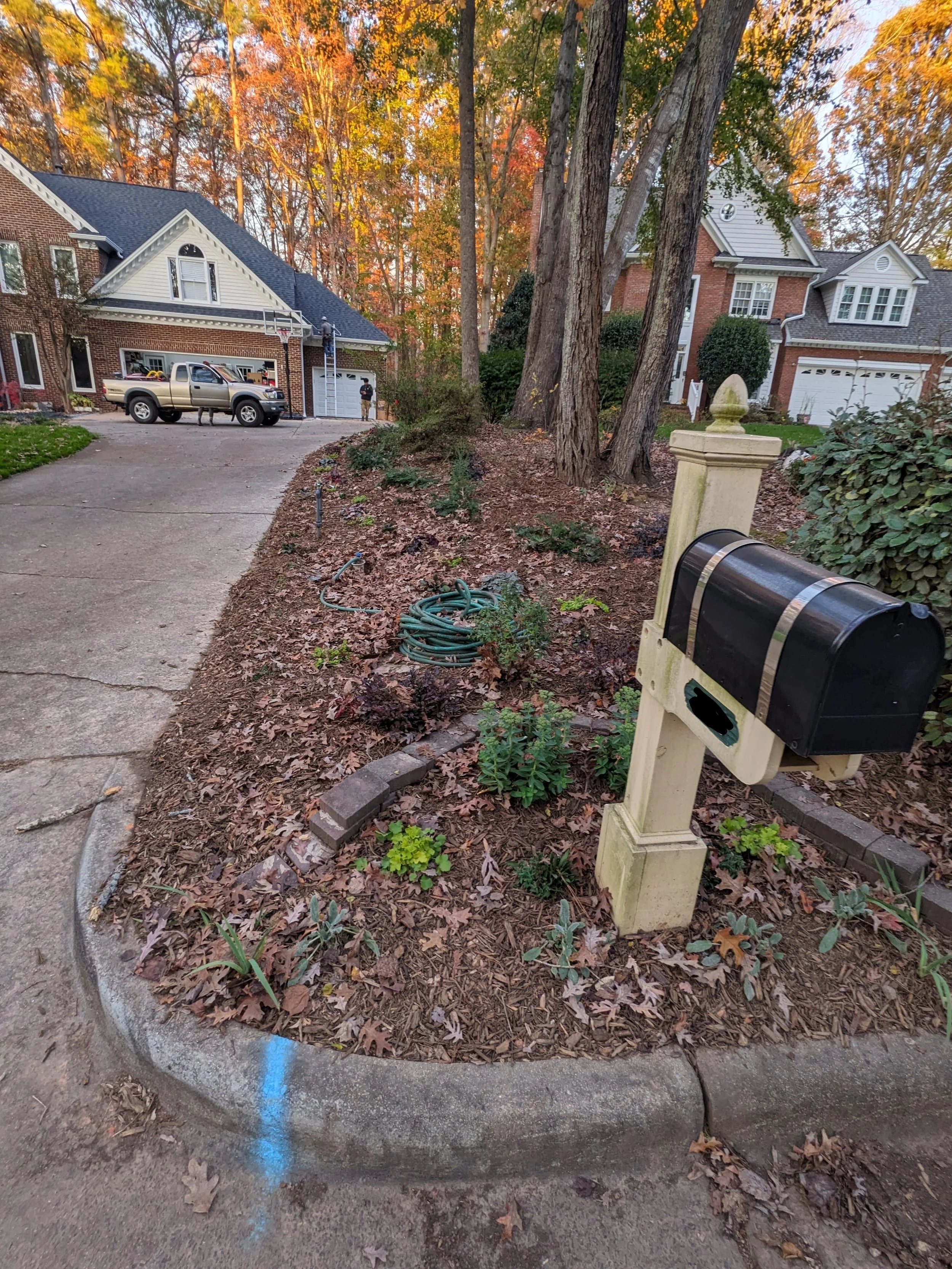 Zone 3 AFTER: pruned + removed weedy overgrowth, planted shrubs + perennials capable of surviving being accidentally driven over