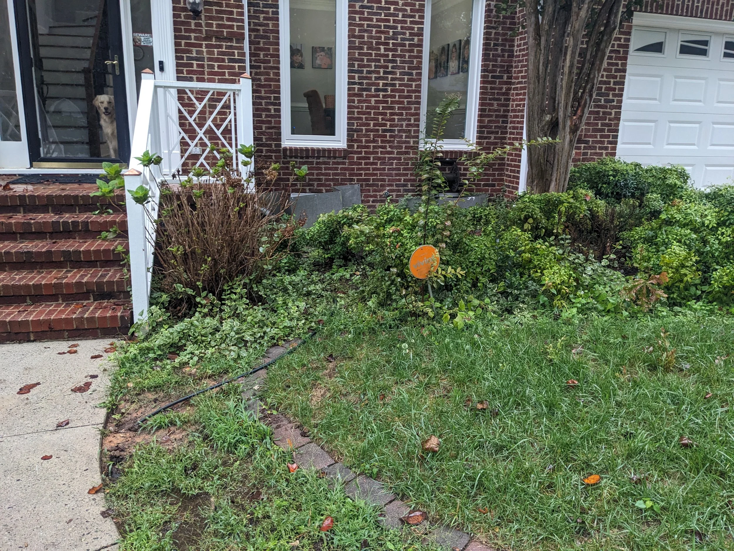 Zone 1, Right - Before