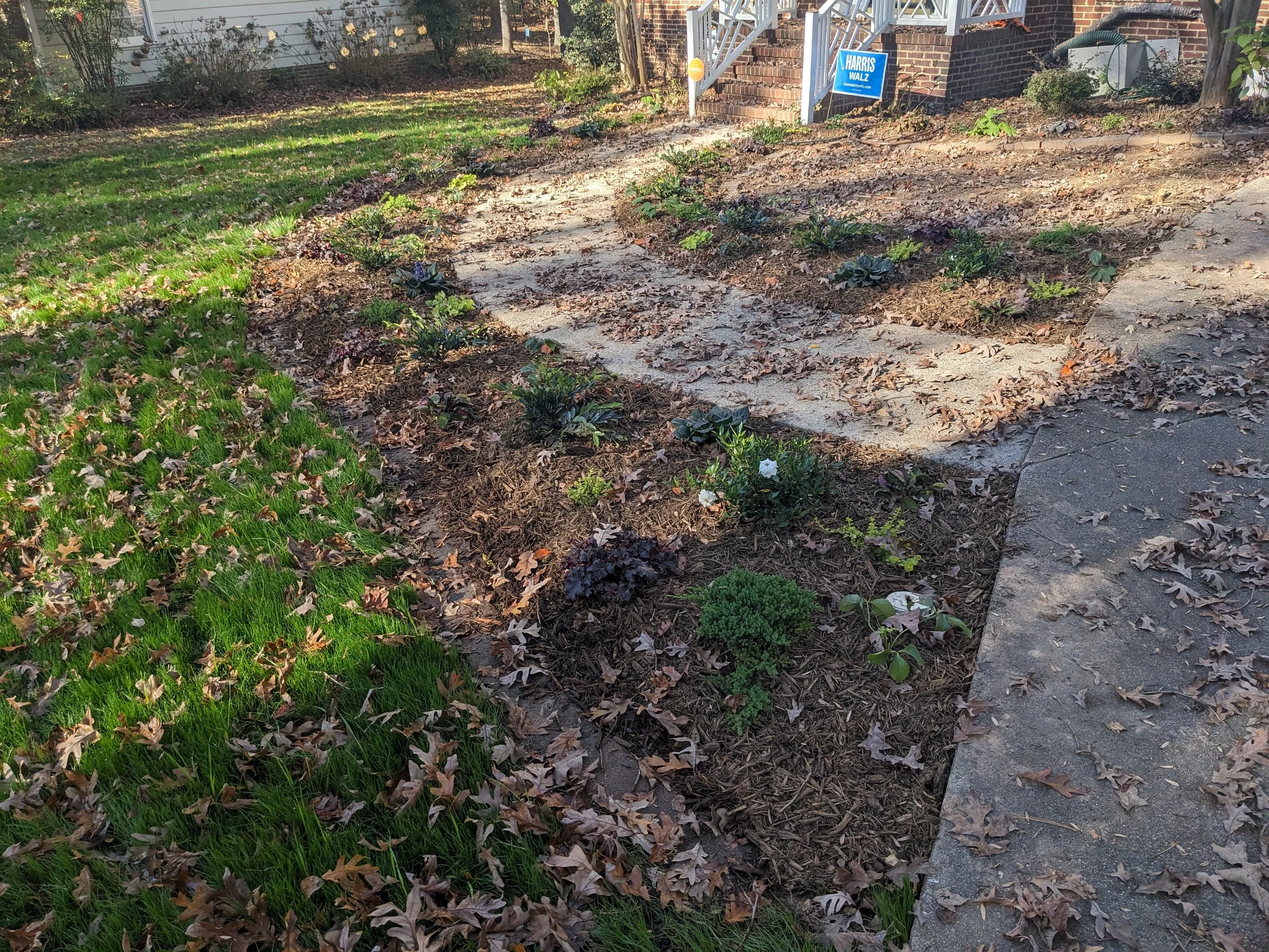 Zone 2 Complete