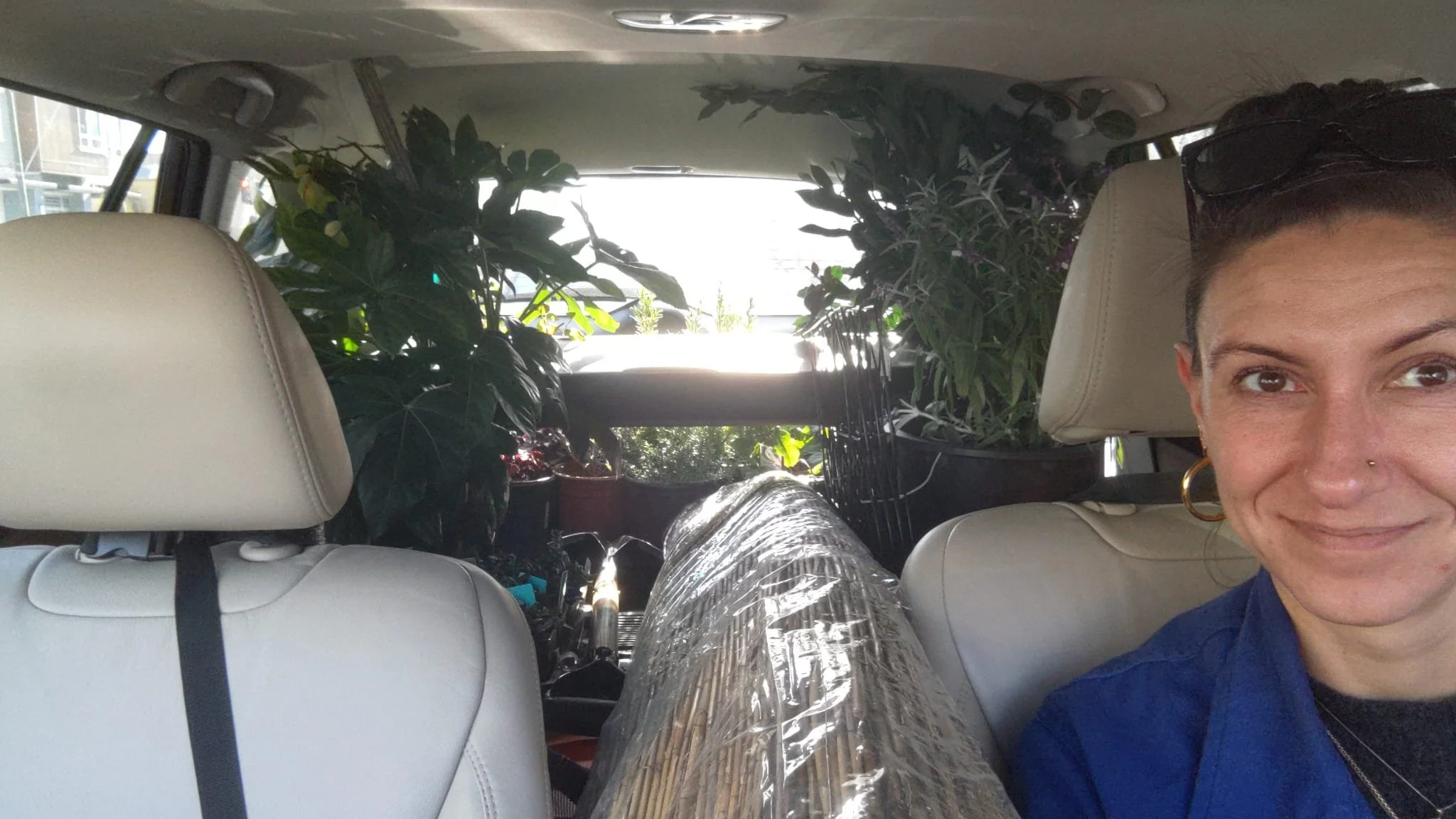 Plant haul in a little subaru