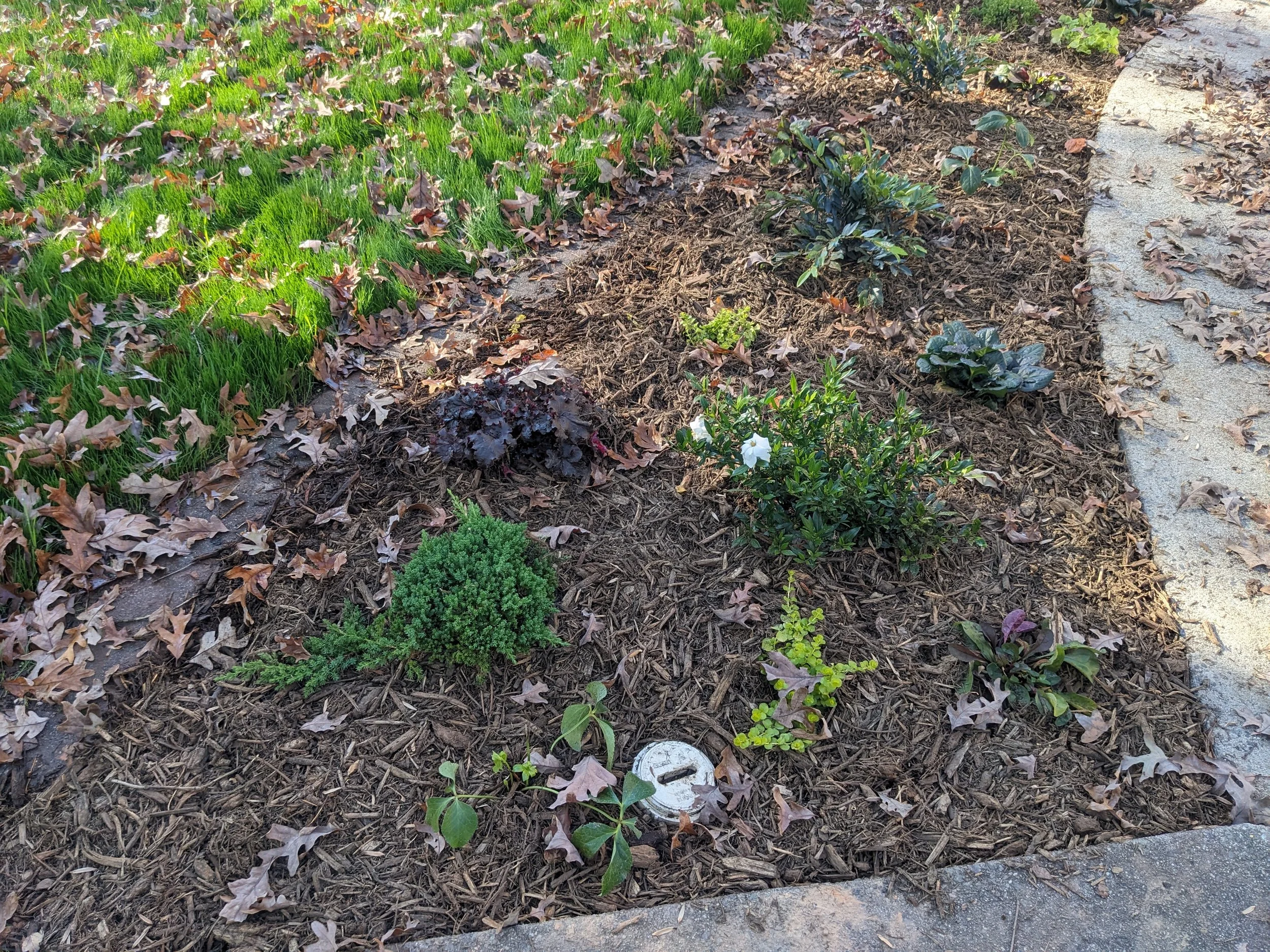 Zone 2 planting detail
