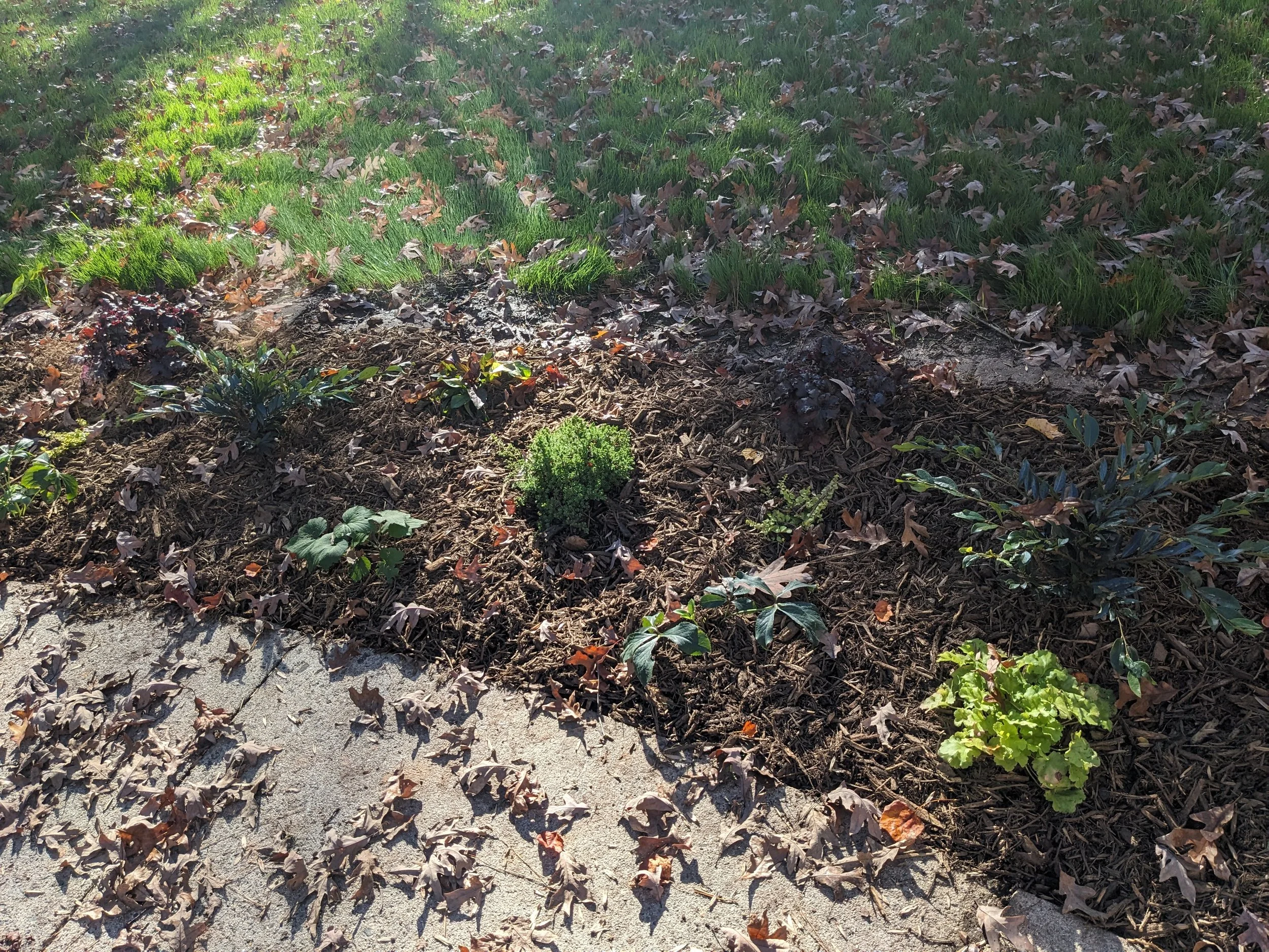 Zone 2 planting detail