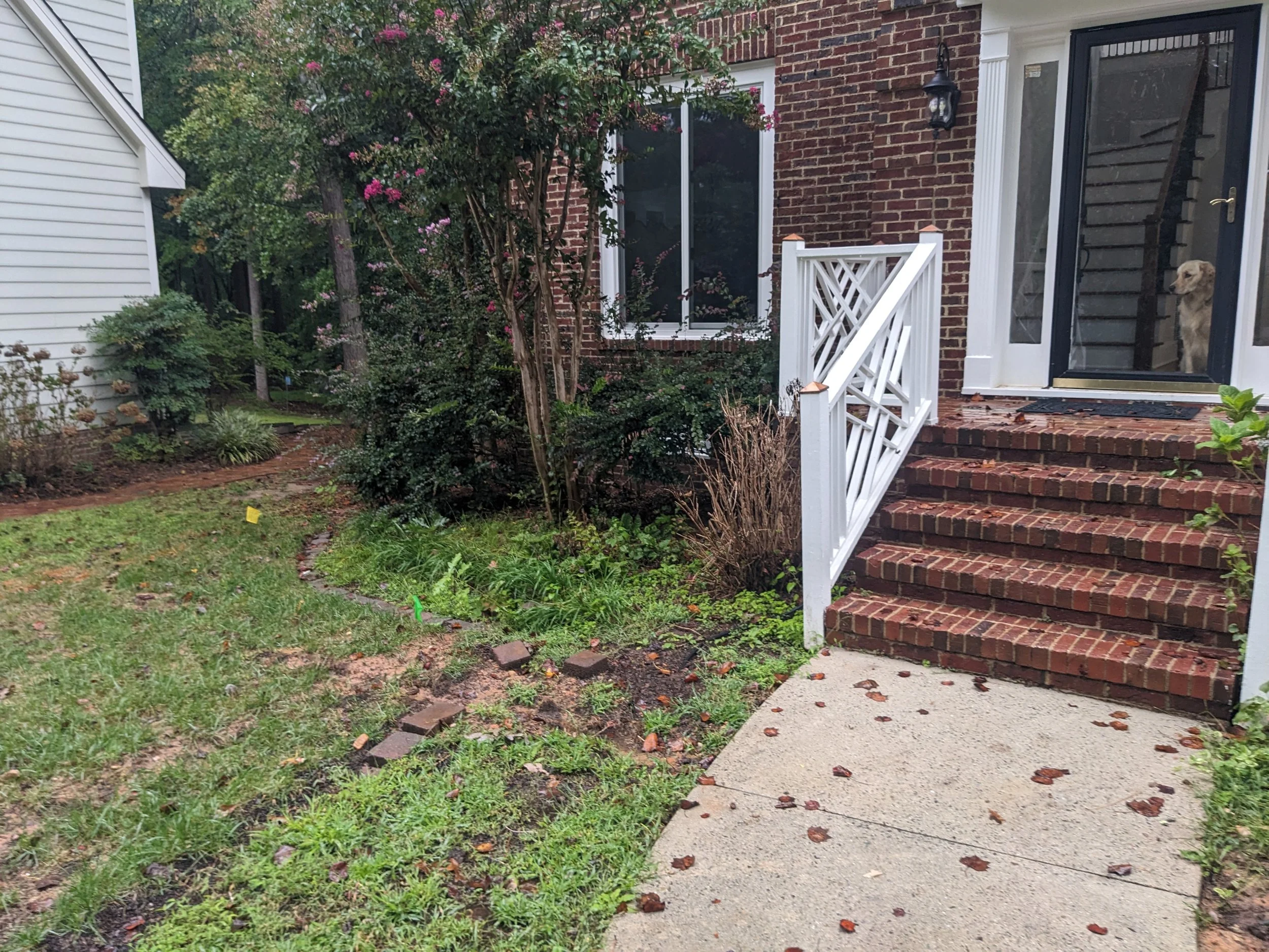 Zone 1, Left - Before