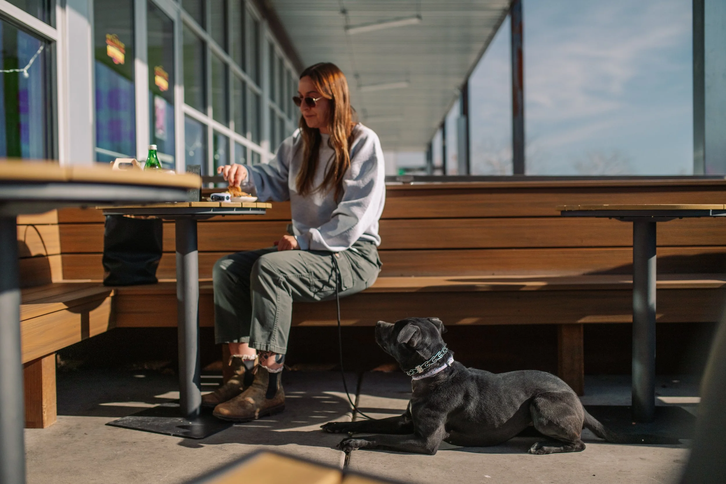 Doodle practicing place command on leash with Reno Dogs trainer, demonstrating obedience training and client handling benefits.