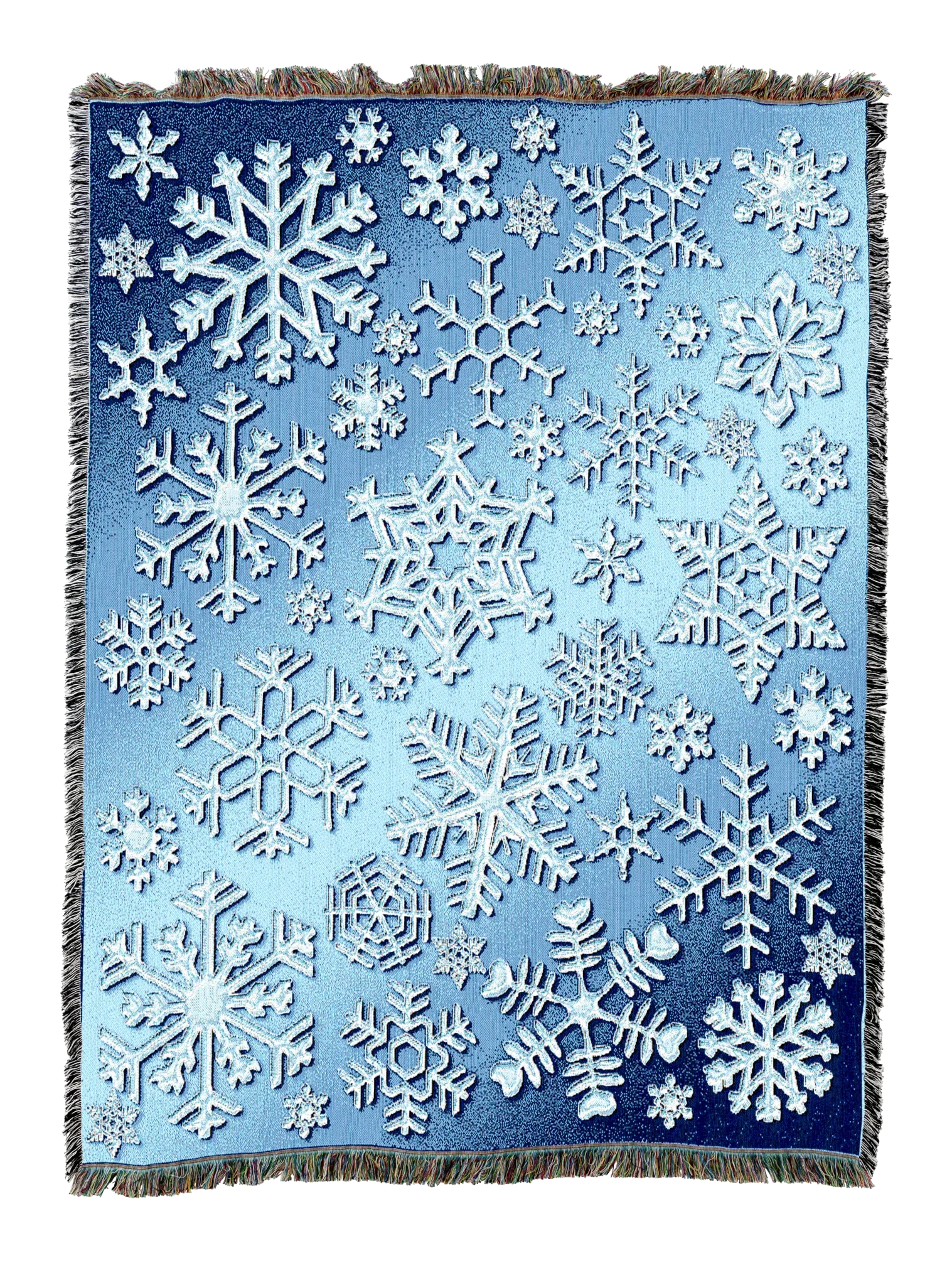 4307-T_86d038fc-b42a-4882-be71-ff8833ca5444_2048x2048.png.webp