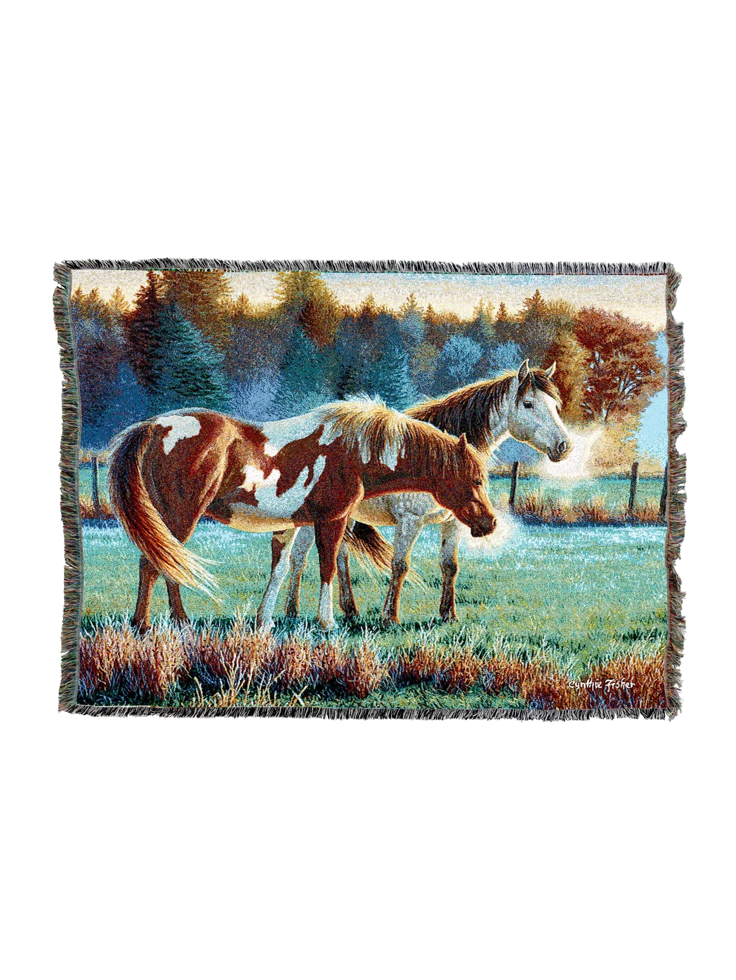 4715-T_48157c45-1dee-4477-897a-9e8bfbd34bb0_2048x2048.png.webp