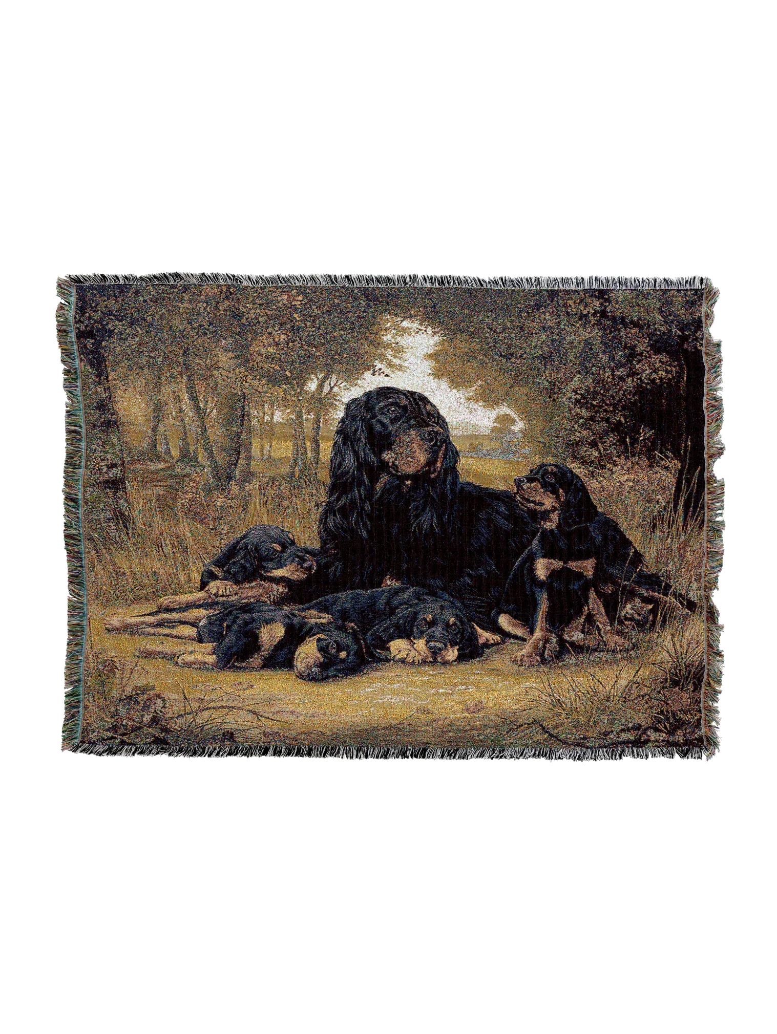 1141-T_2048x2048.png.webp