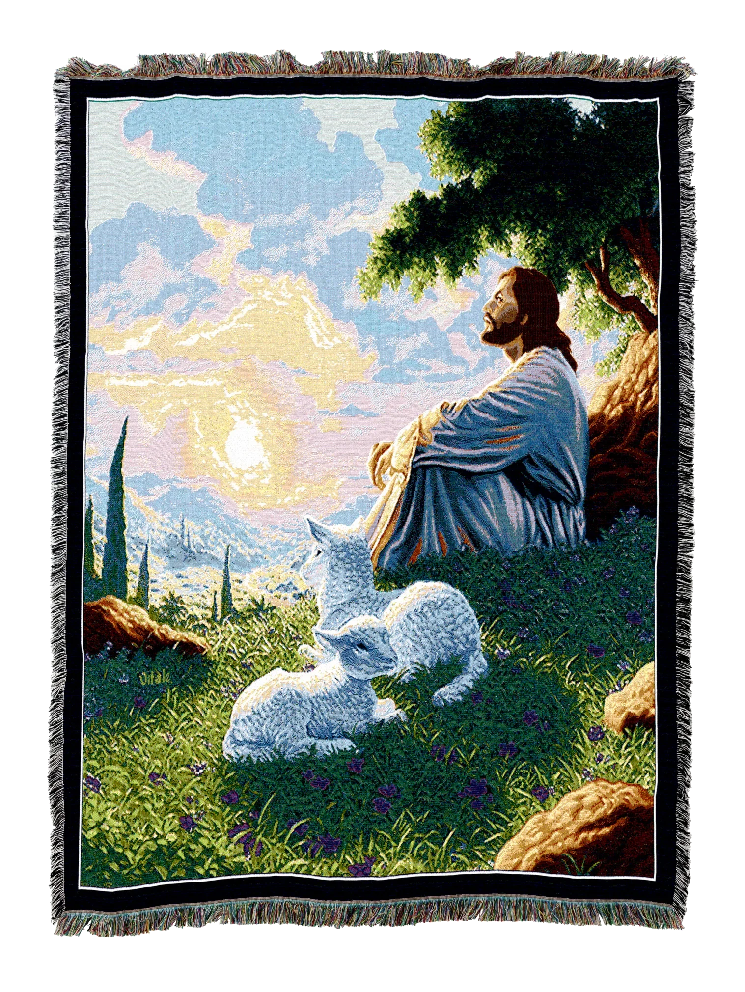 293-T_07a34b1e-d5b0-4107-b928-b97645890b71_2048x2048.png.webp