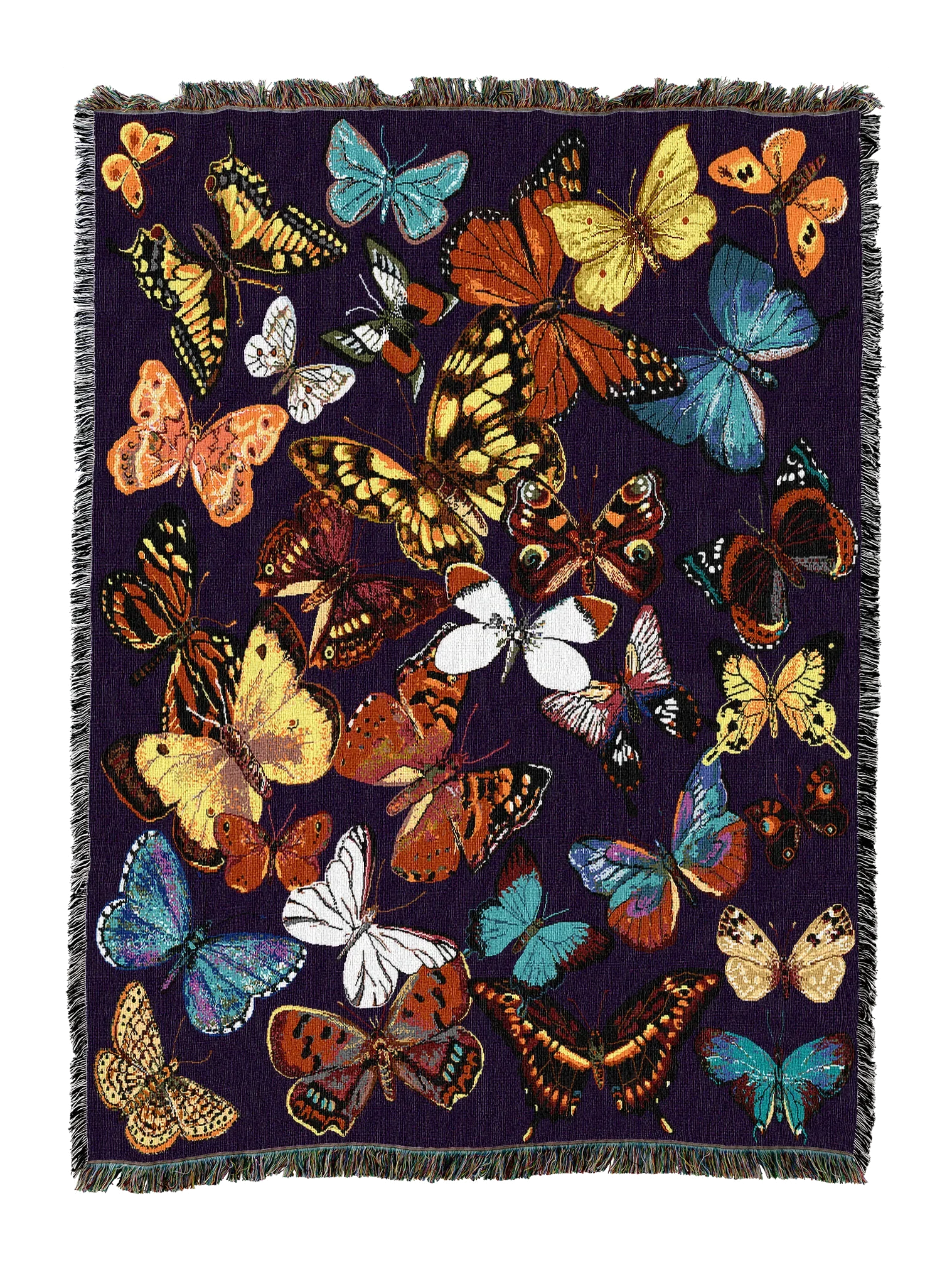 712-T_2048x2048.png.webp