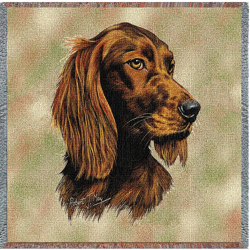 irish_setter__50506.webp