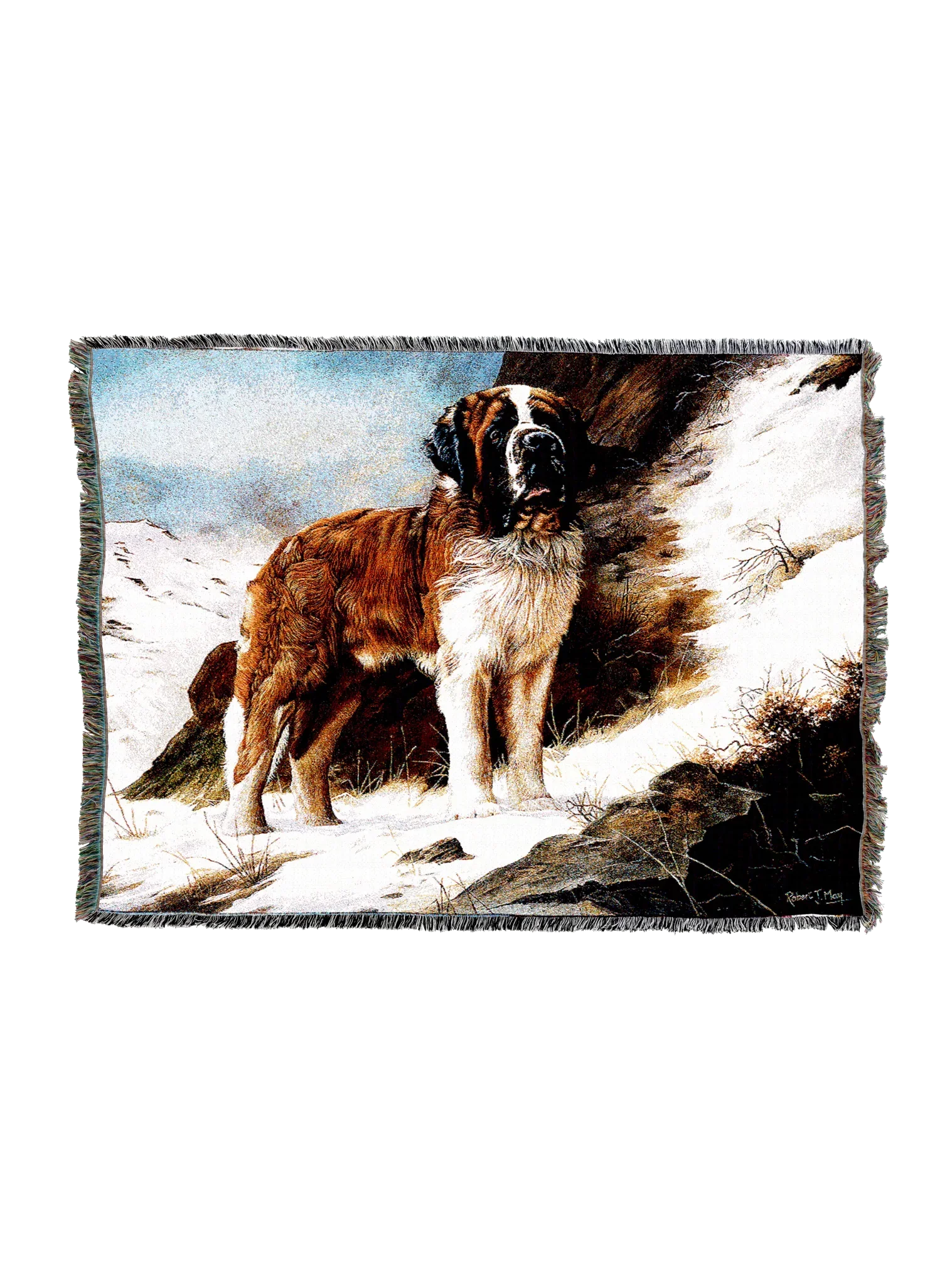 1932-T_2048x2048.png.webp