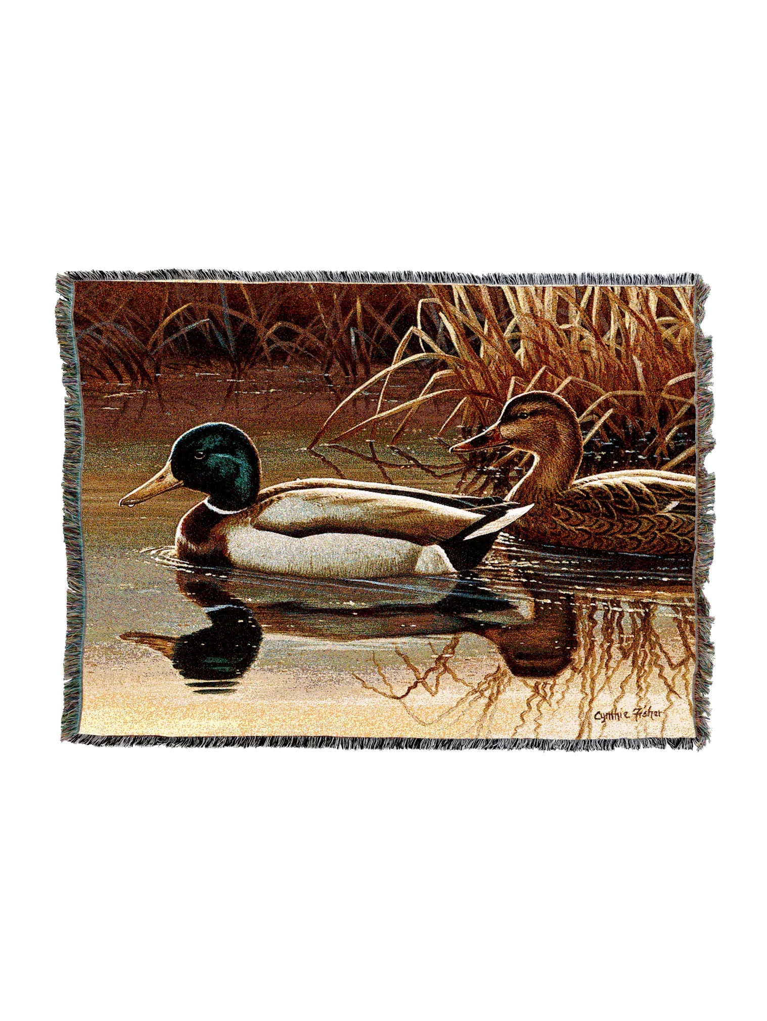 4713-T_aea4cc8c-2d61-482b-96ad-58ec5d4c4c08_2048x2048.png.webp