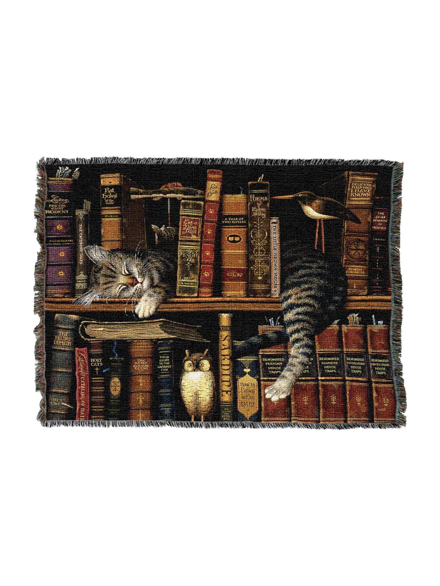 801-T_2048x2048.png.webp