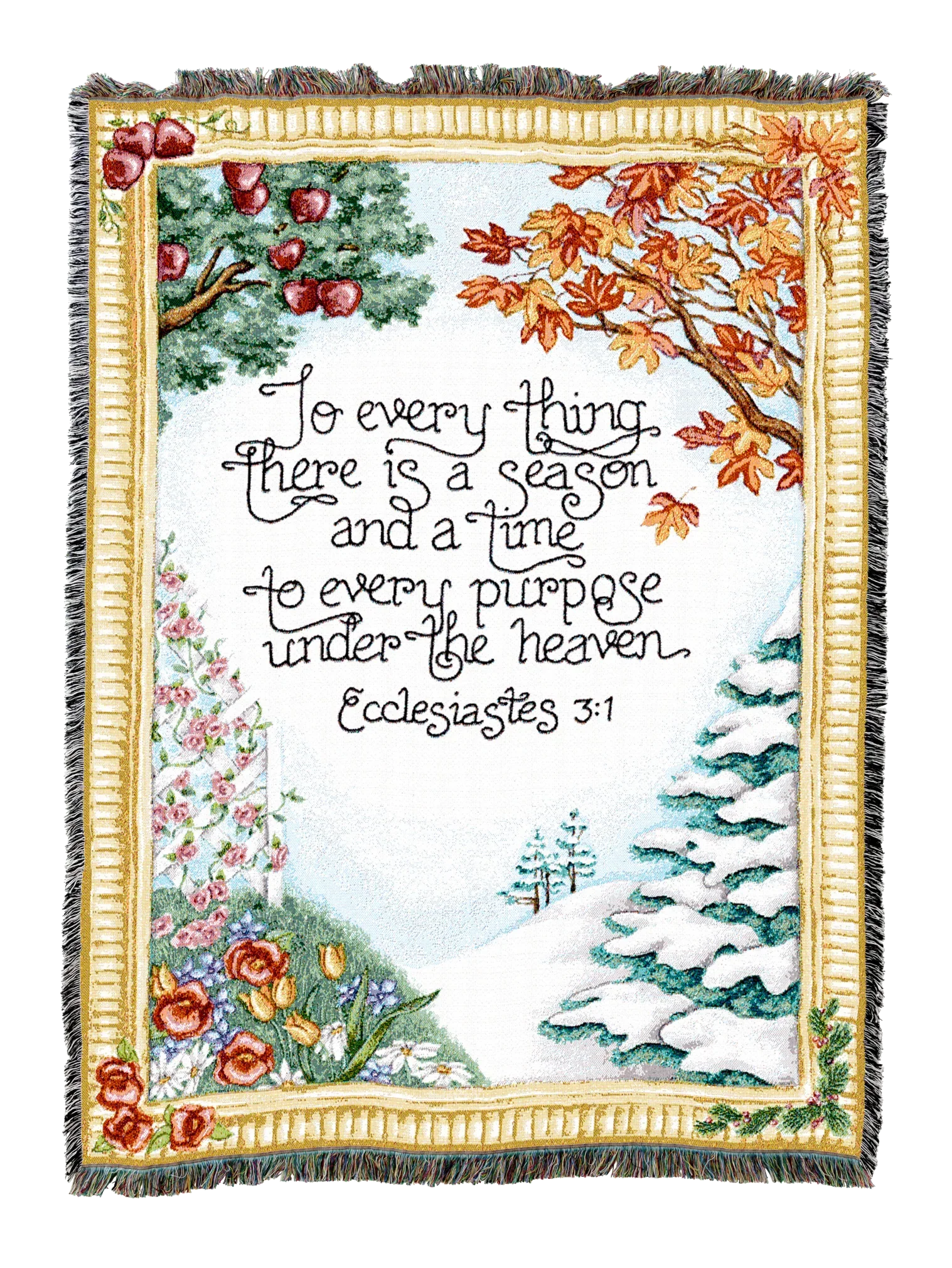 1795-T_2048x2048.png.webp