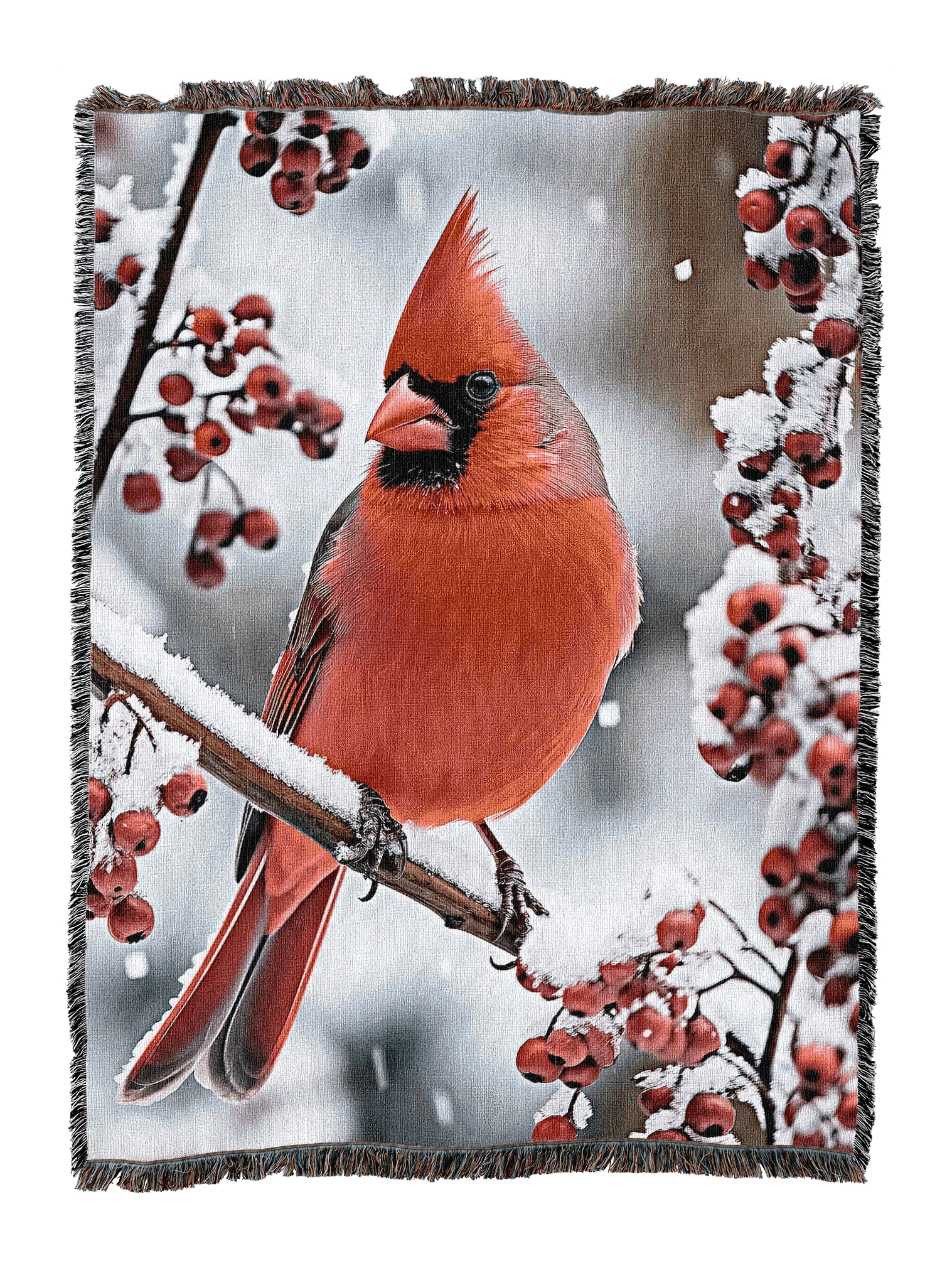 13722-T_0ce86c66-b50d-4ad0-8534-c32b18b676fb_2048x2048.png.webp