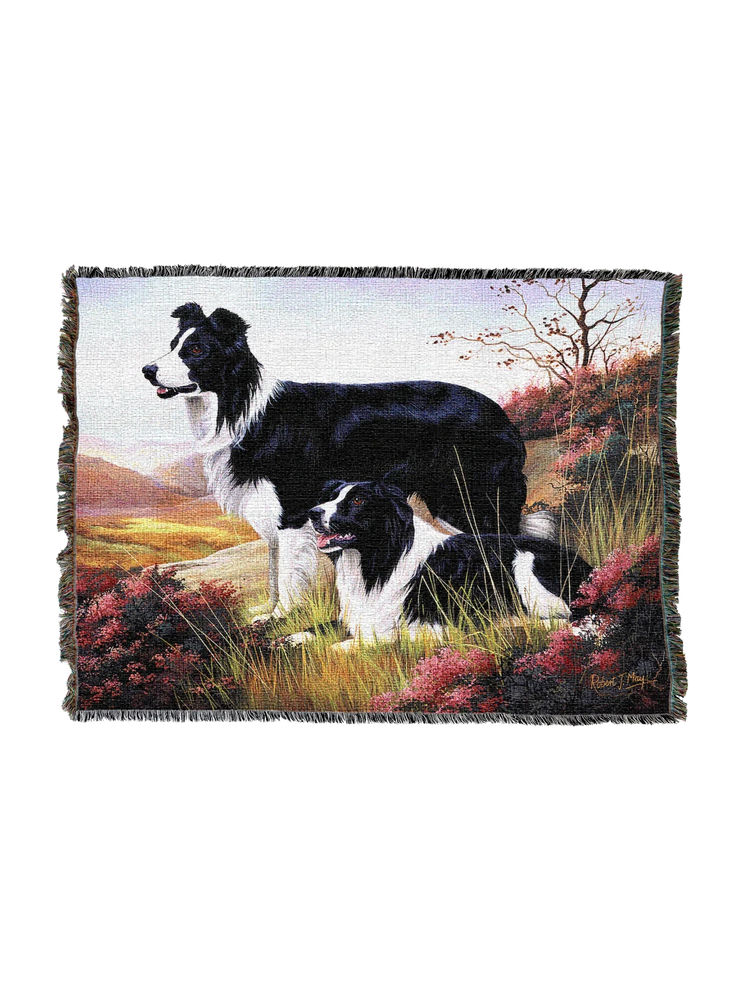 1123-T_2048x2048.png.webp