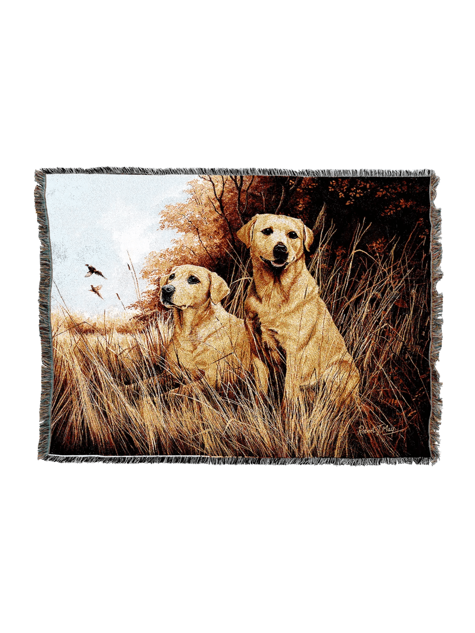 1934-T_2048x2048.png.webp