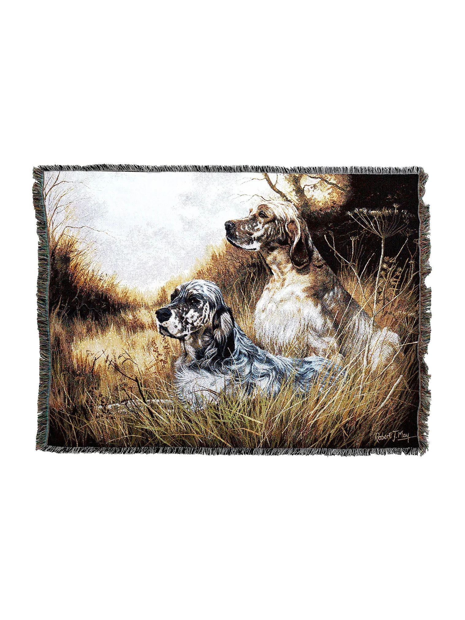 1138-T_21c9b421-703e-46d9-bfb9-e220fb08315b_2048x2048.png.webp