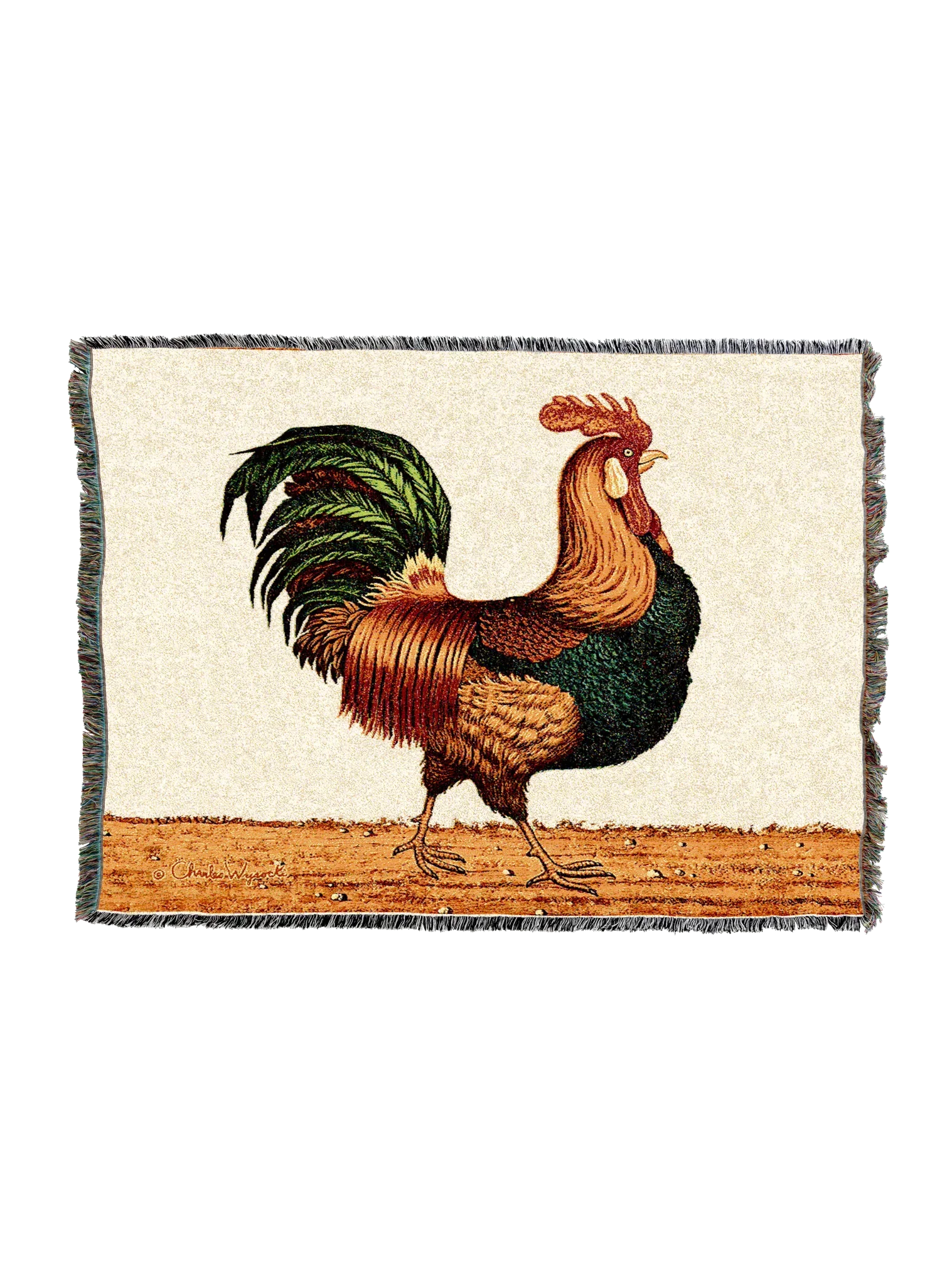 7114-T_cc2d27d4-e25c-402d-a75f-c233ca481d6c_2048x2048.png.webp