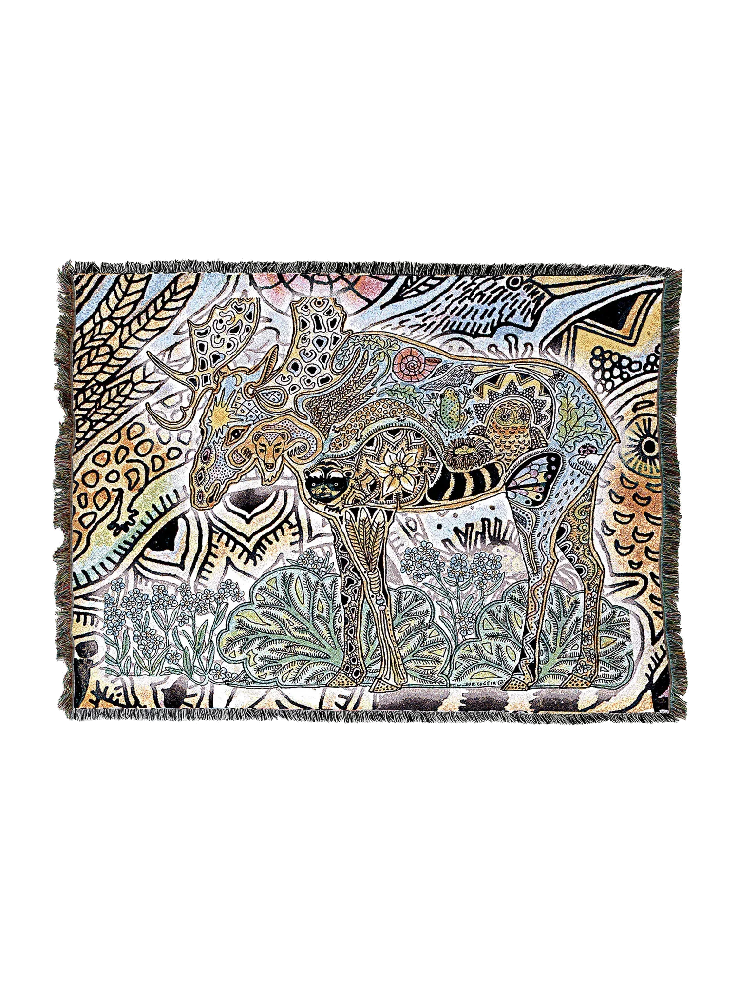 8014-T_2048x2048.png.webp