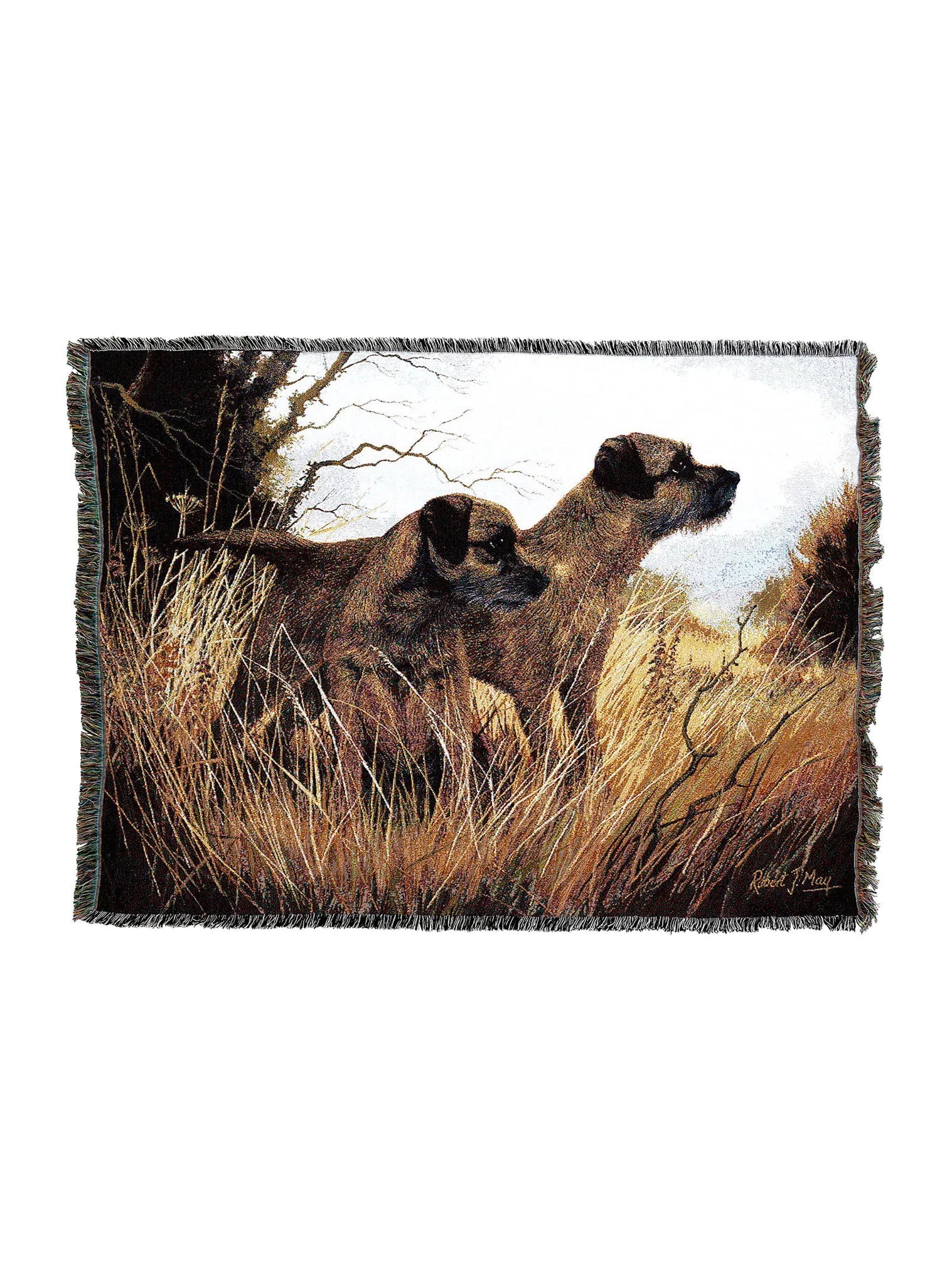 1139-T_c499f950-14f9-4c7e-ba6b-032d58df9b2b_2048x2048.png.webp