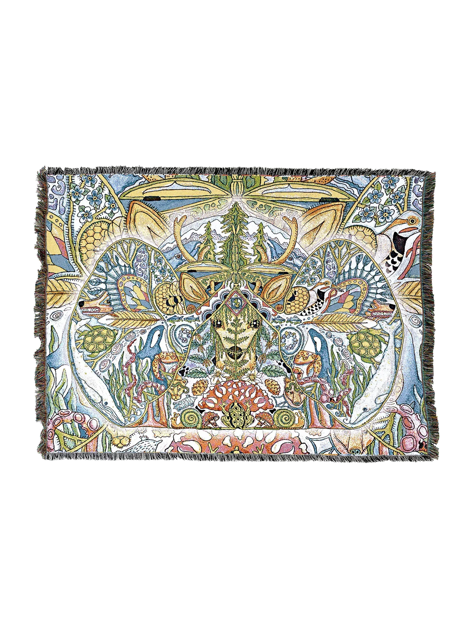 8045-T_7431f9f2-e90a-4d94-af21-c3d3c9018ab0_2048x2048.png.webp