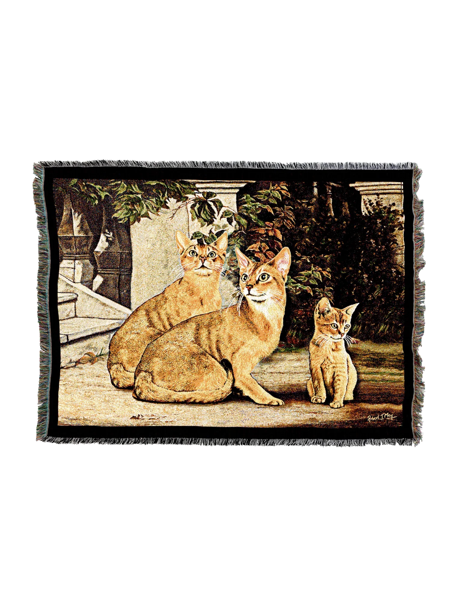 Cat Breed Throws by Robert May