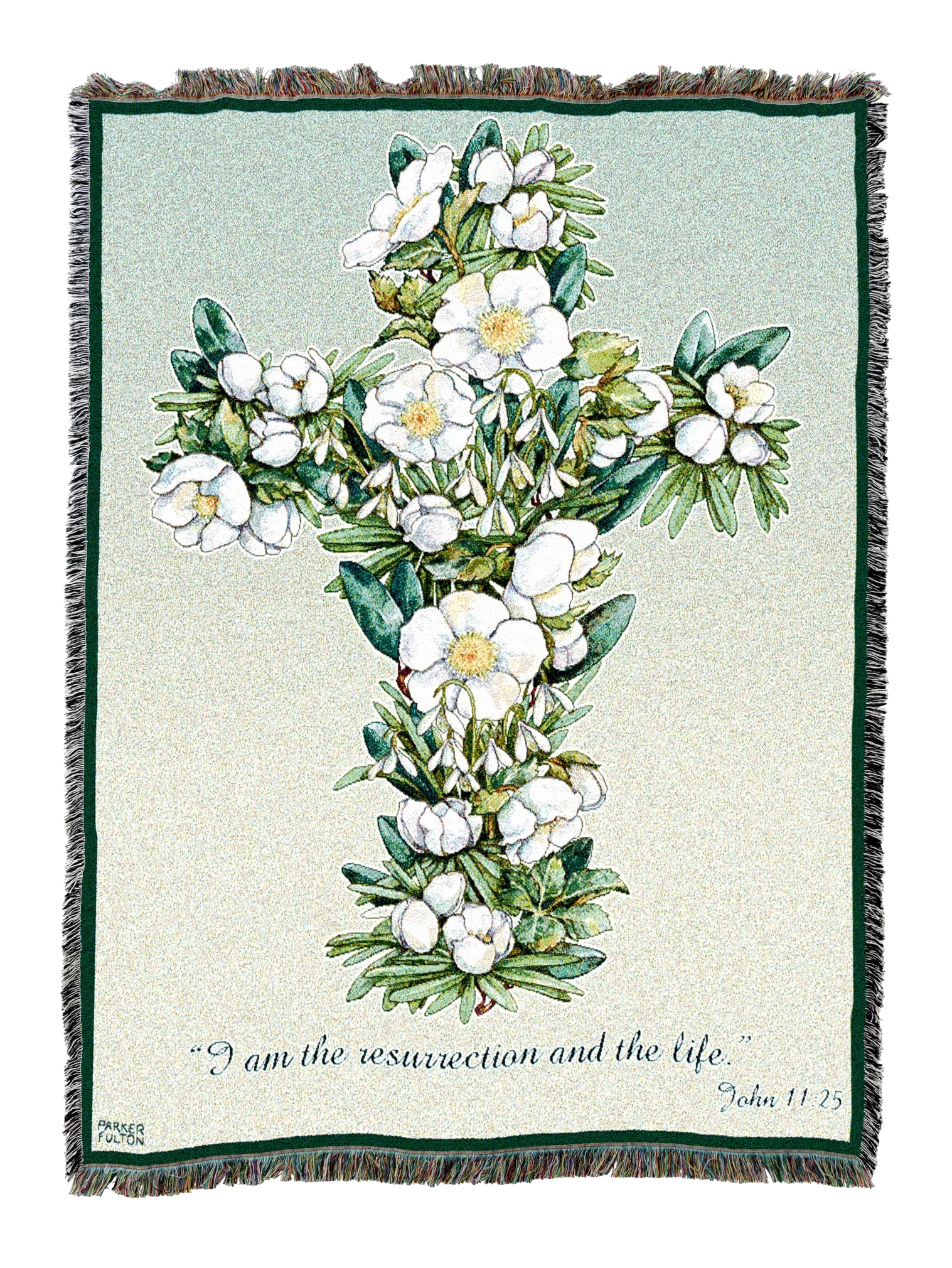 6228-T_2048x2048.png.webp