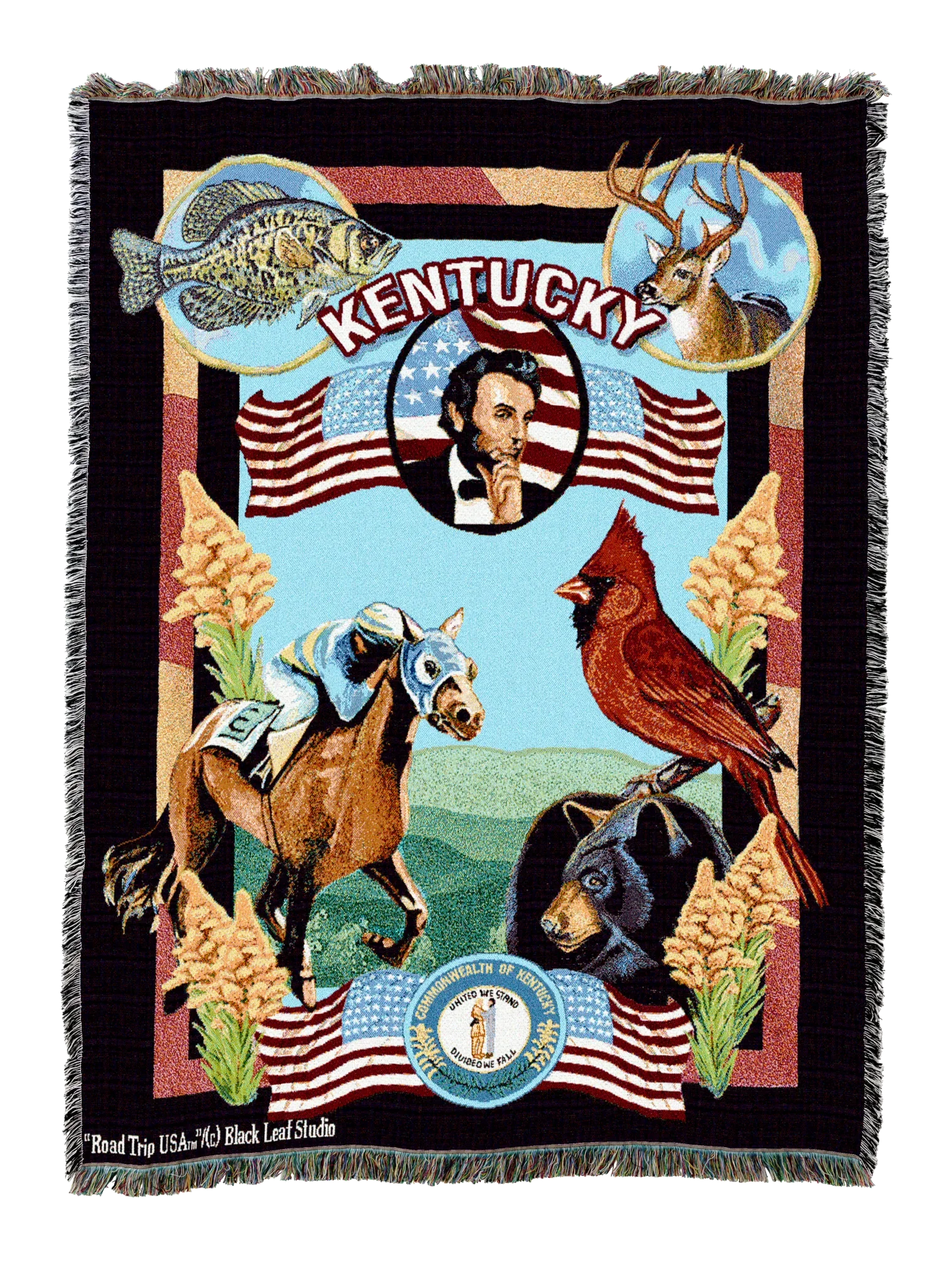 4282-T_2048x2048.png.webp