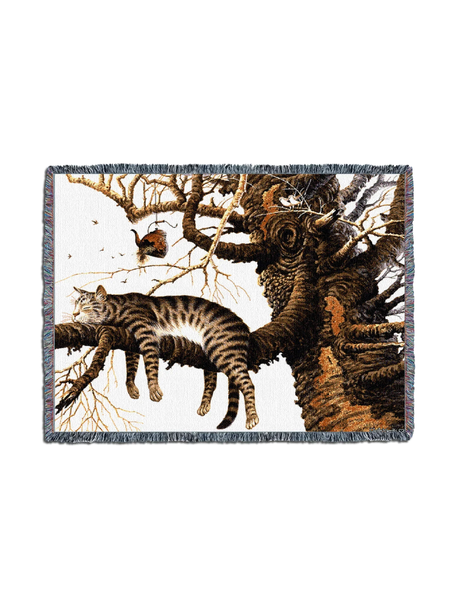 898-T_2048x2048.png.webp