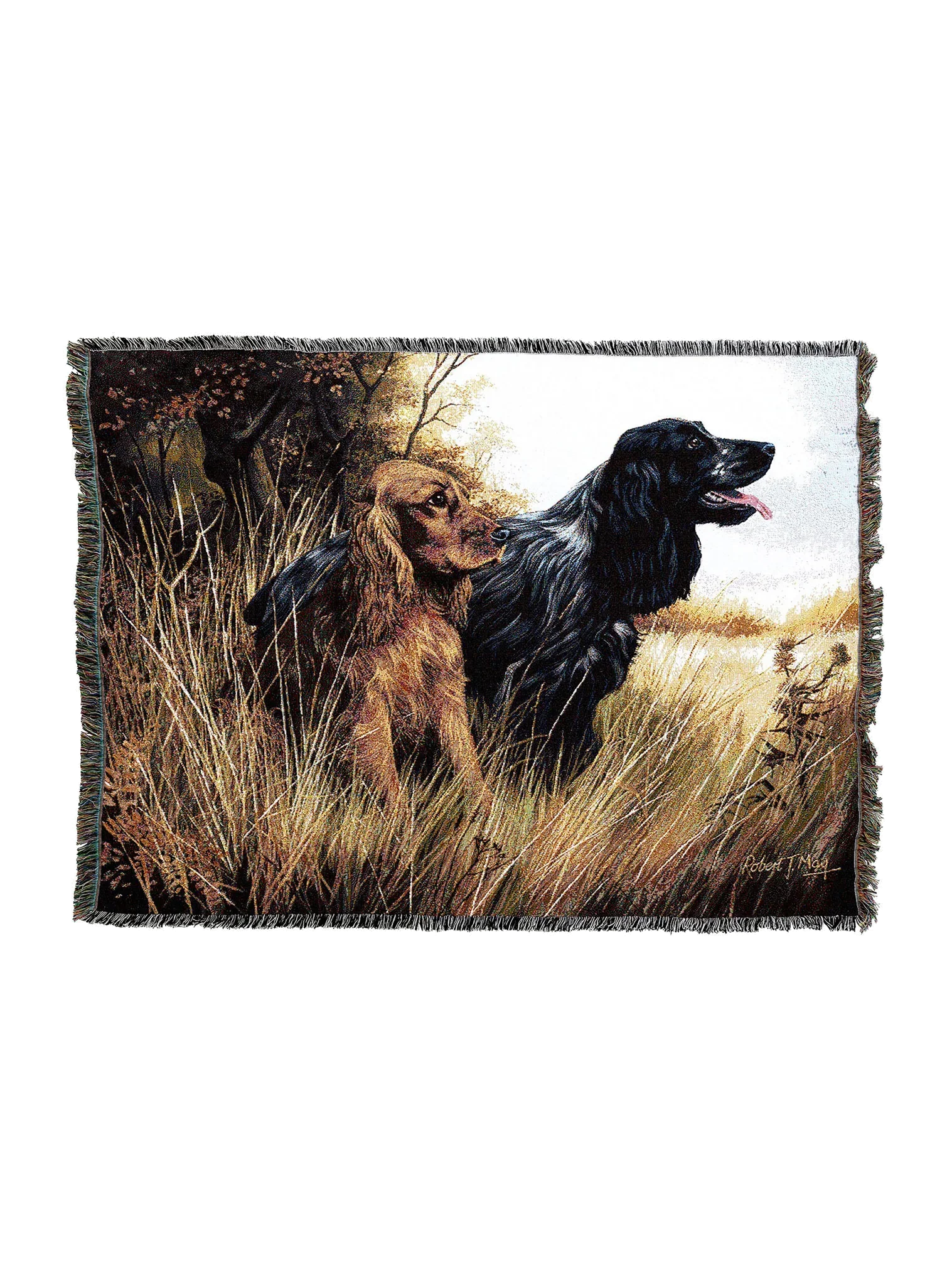 1124-T_2048x2048.png.webp