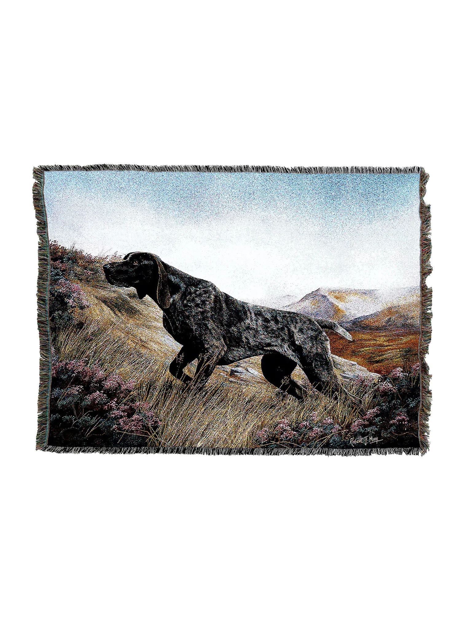 1931-T_2048x2048.png.webp