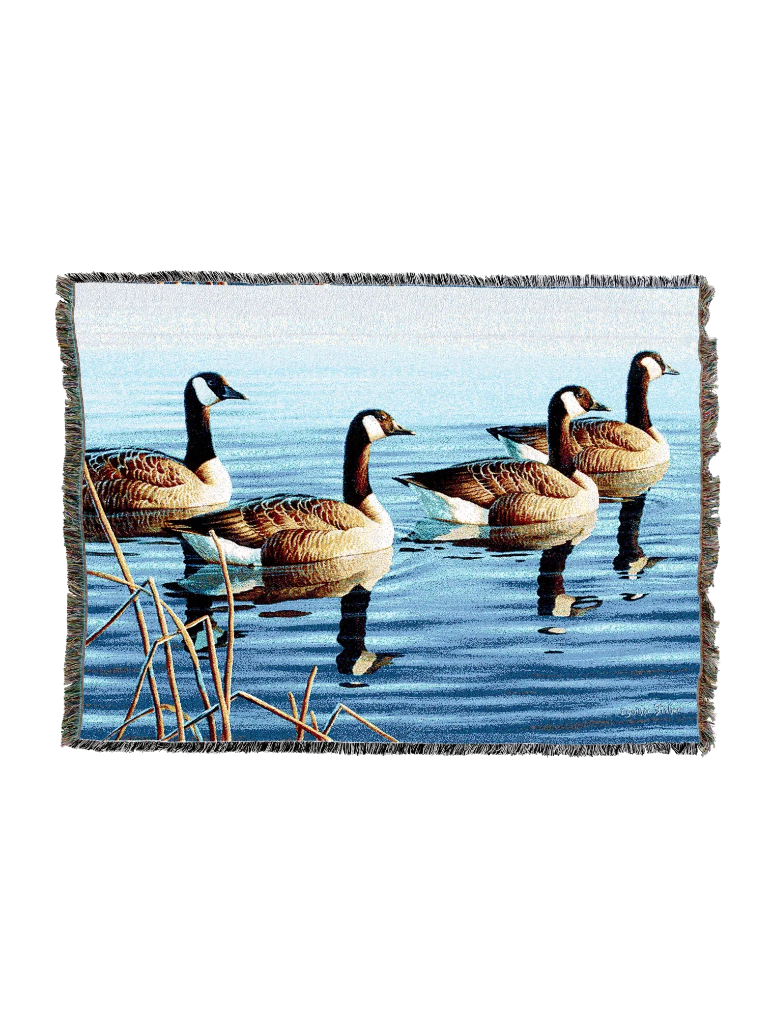 4716-T_c2c7e361-768f-48db-bb85-5304cdf85dea_2048x2048.png.webp