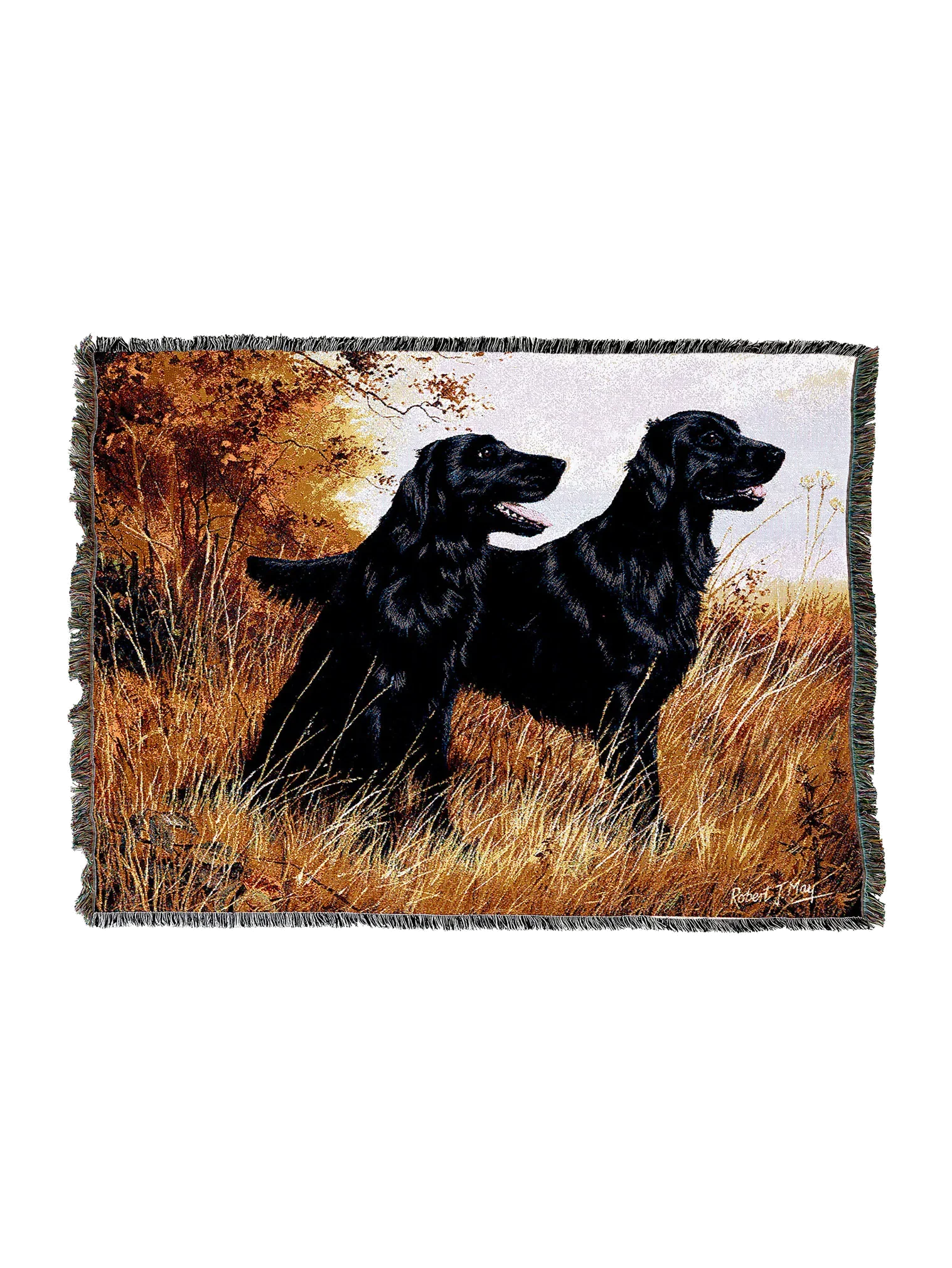 1439-T_2048x2048.png.webp