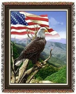 CT Birds Eagle Freedom.jpg