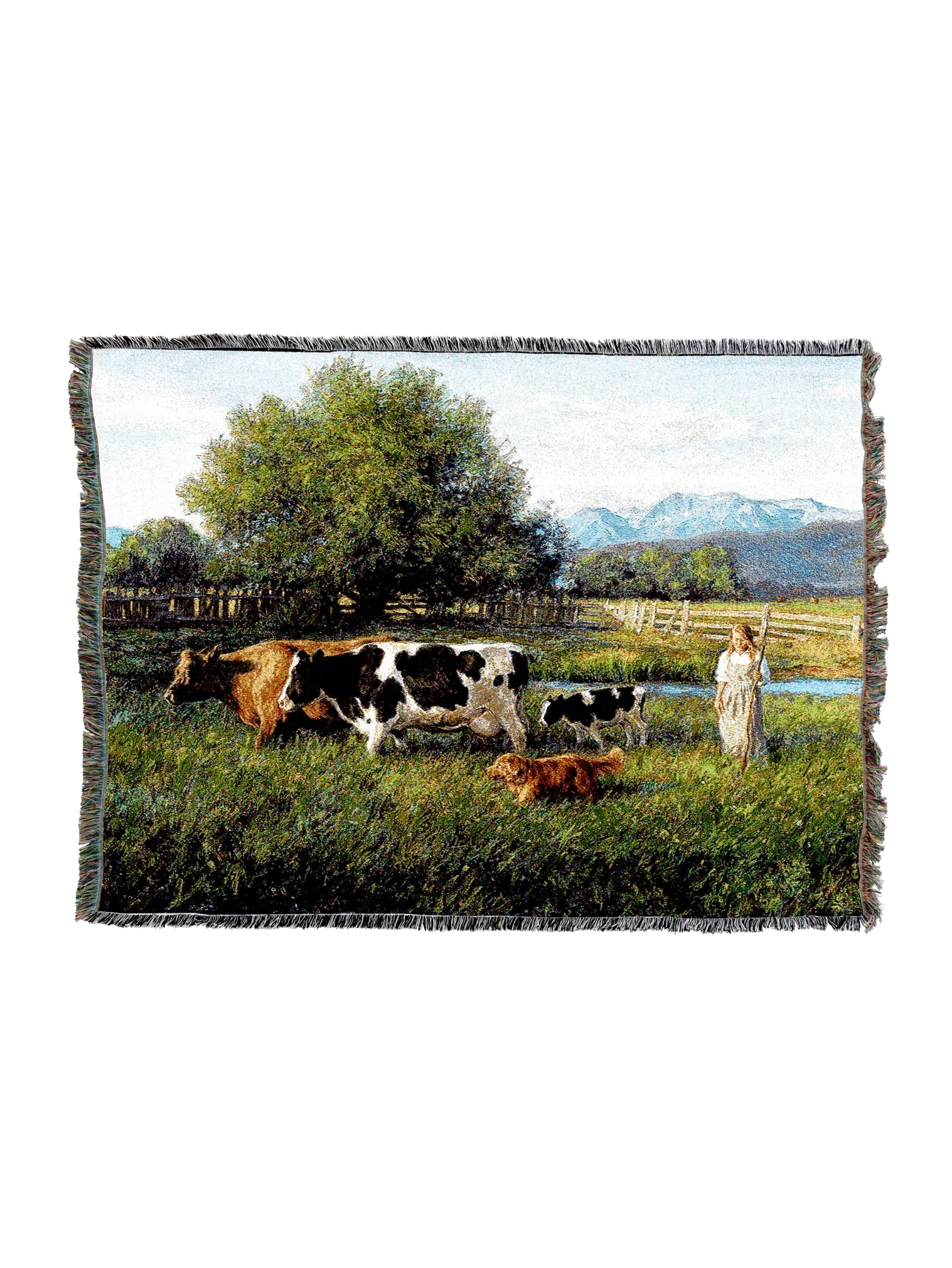 2329-T_2048x2048.png.webp