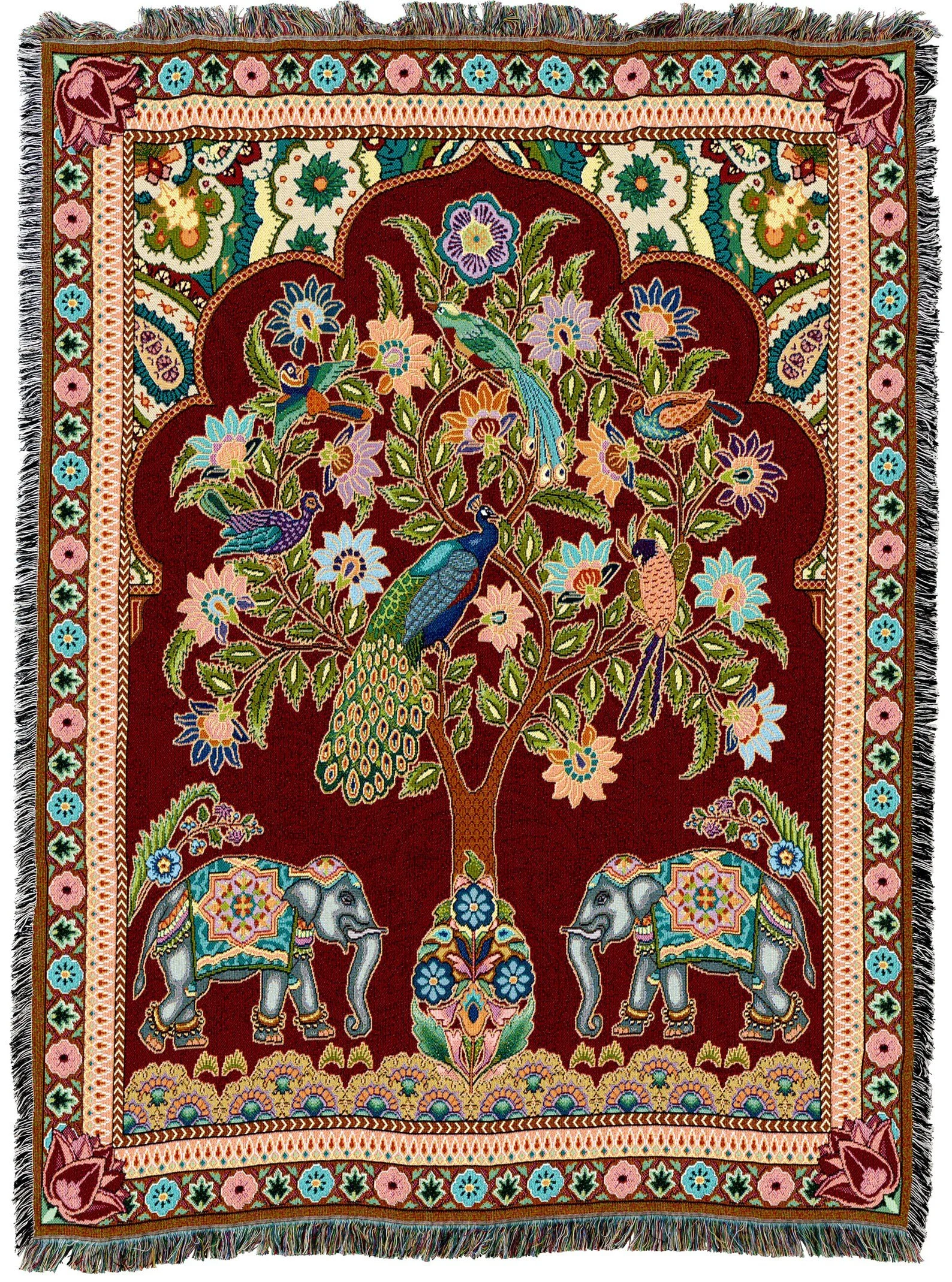 CT WL Asian ANI Asian Elephants.jpg
